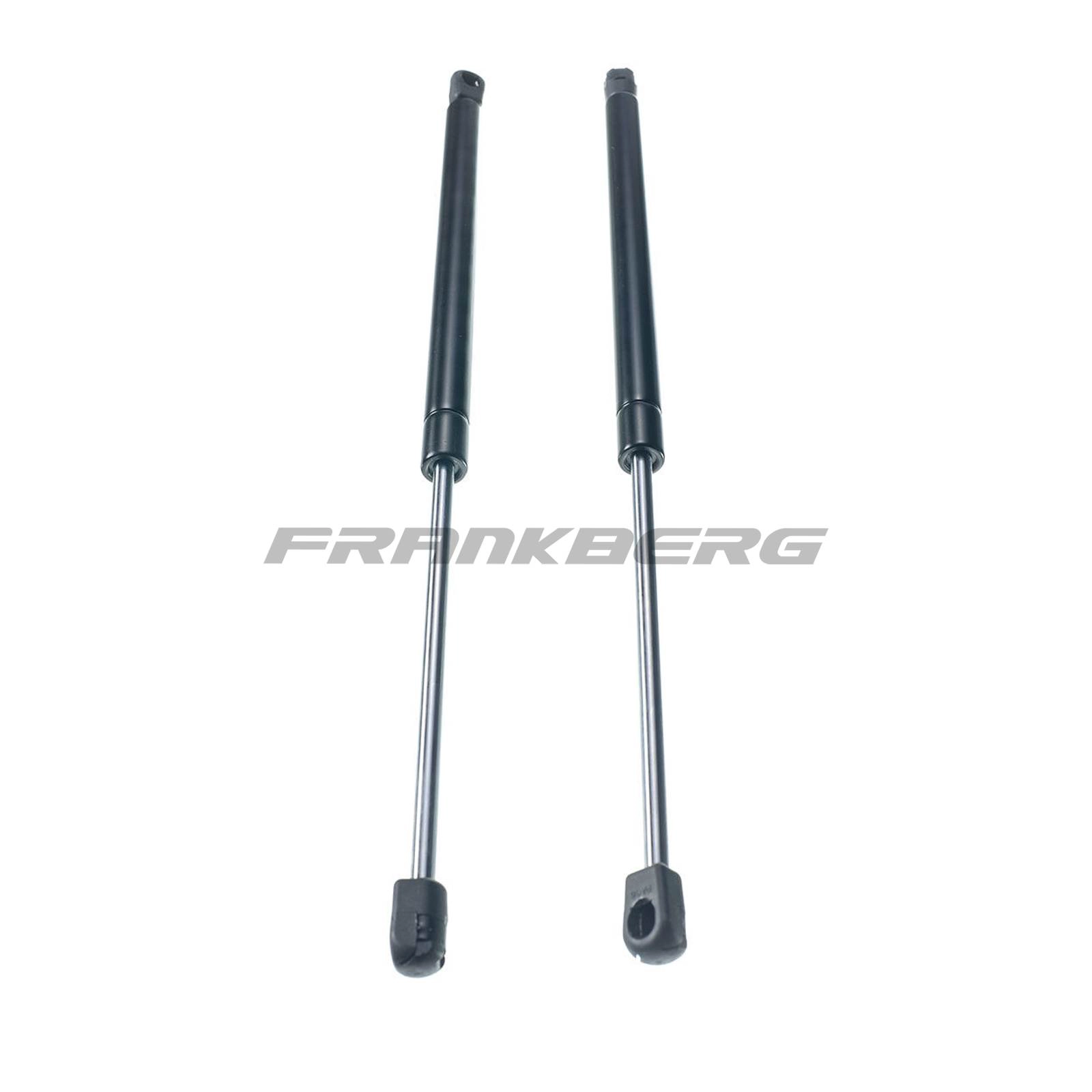 Gas Spring, boot/cargo area