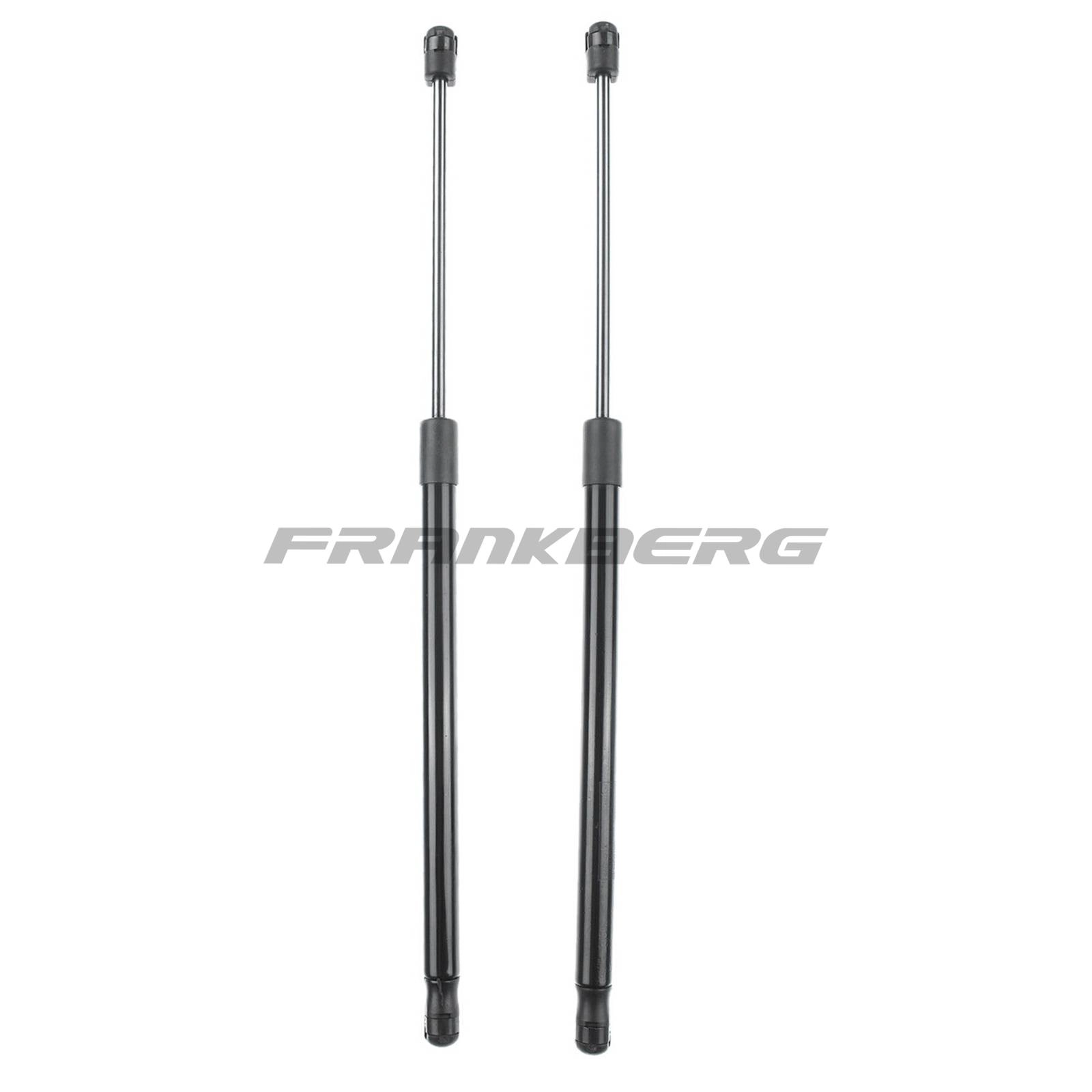 Gas Spring, boot/cargo area