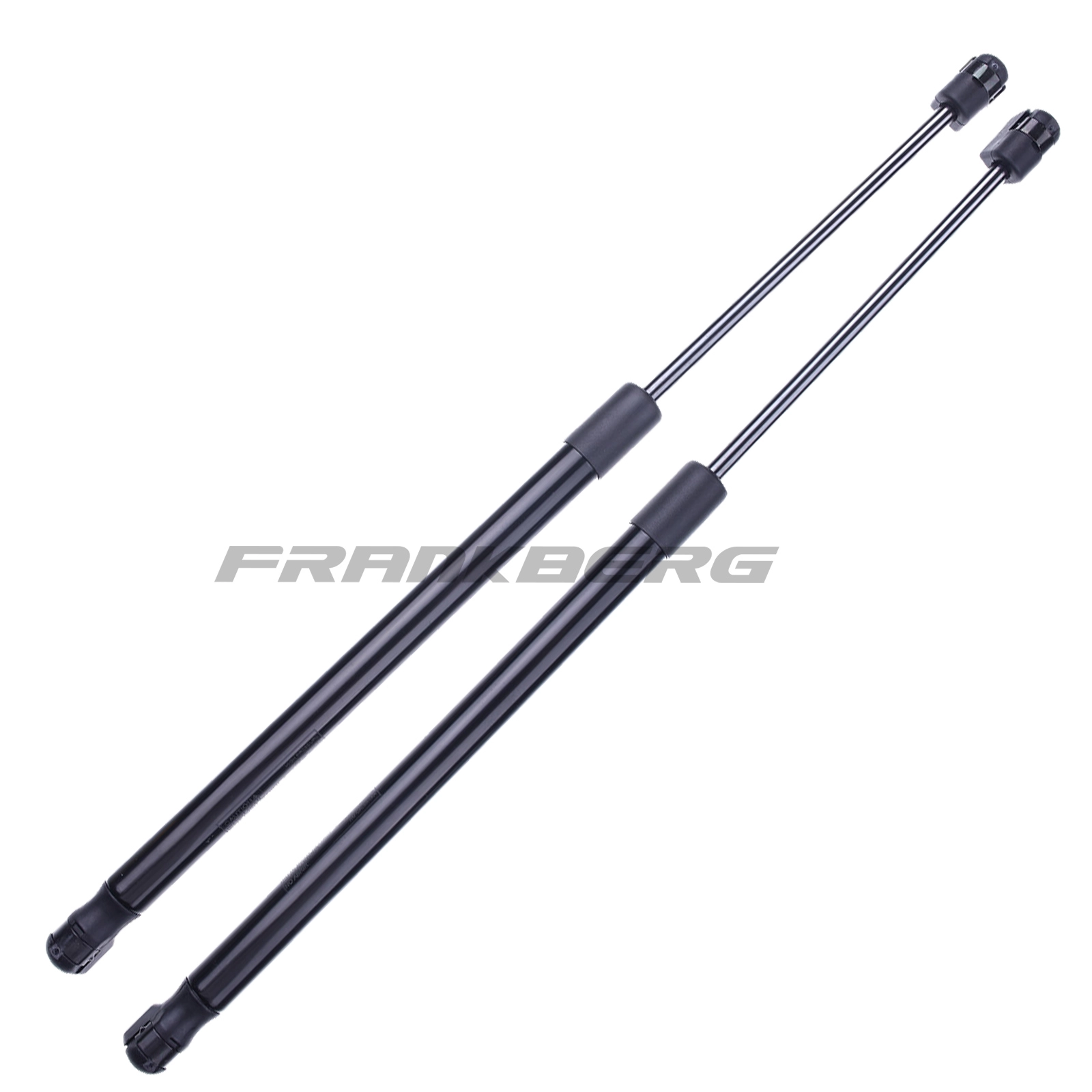 Gas Spring, boot/cargo area