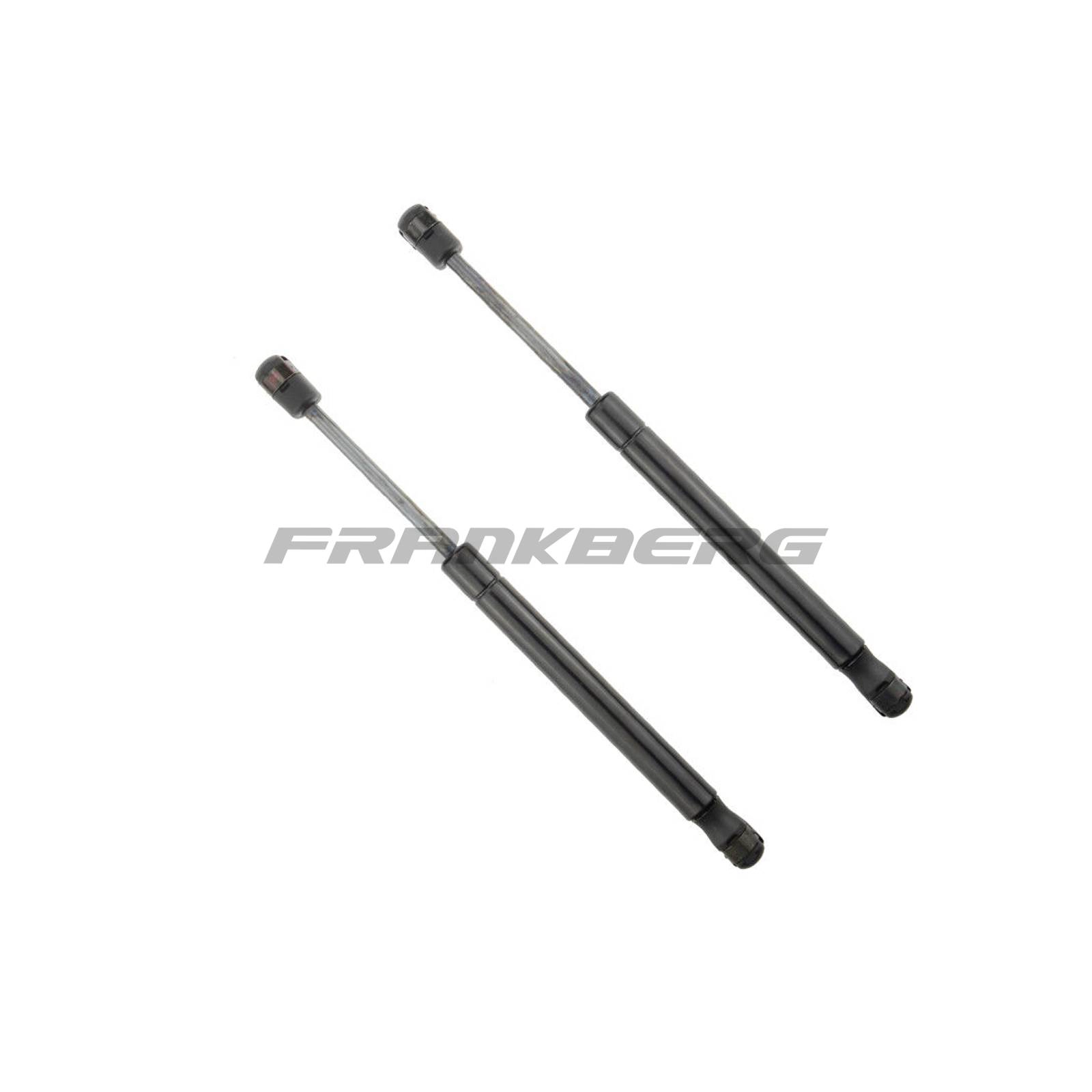 Gas Spring, boot/cargo area