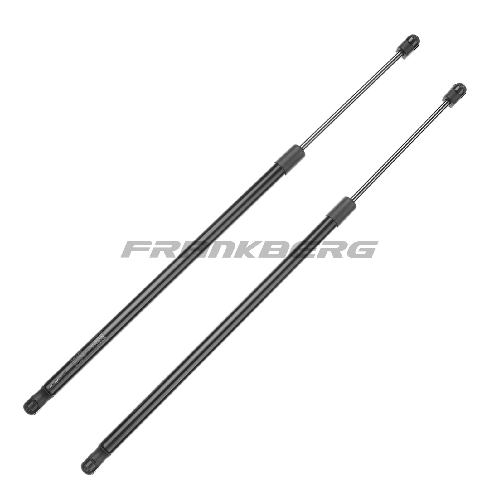 Gas Spring, boot/cargo area