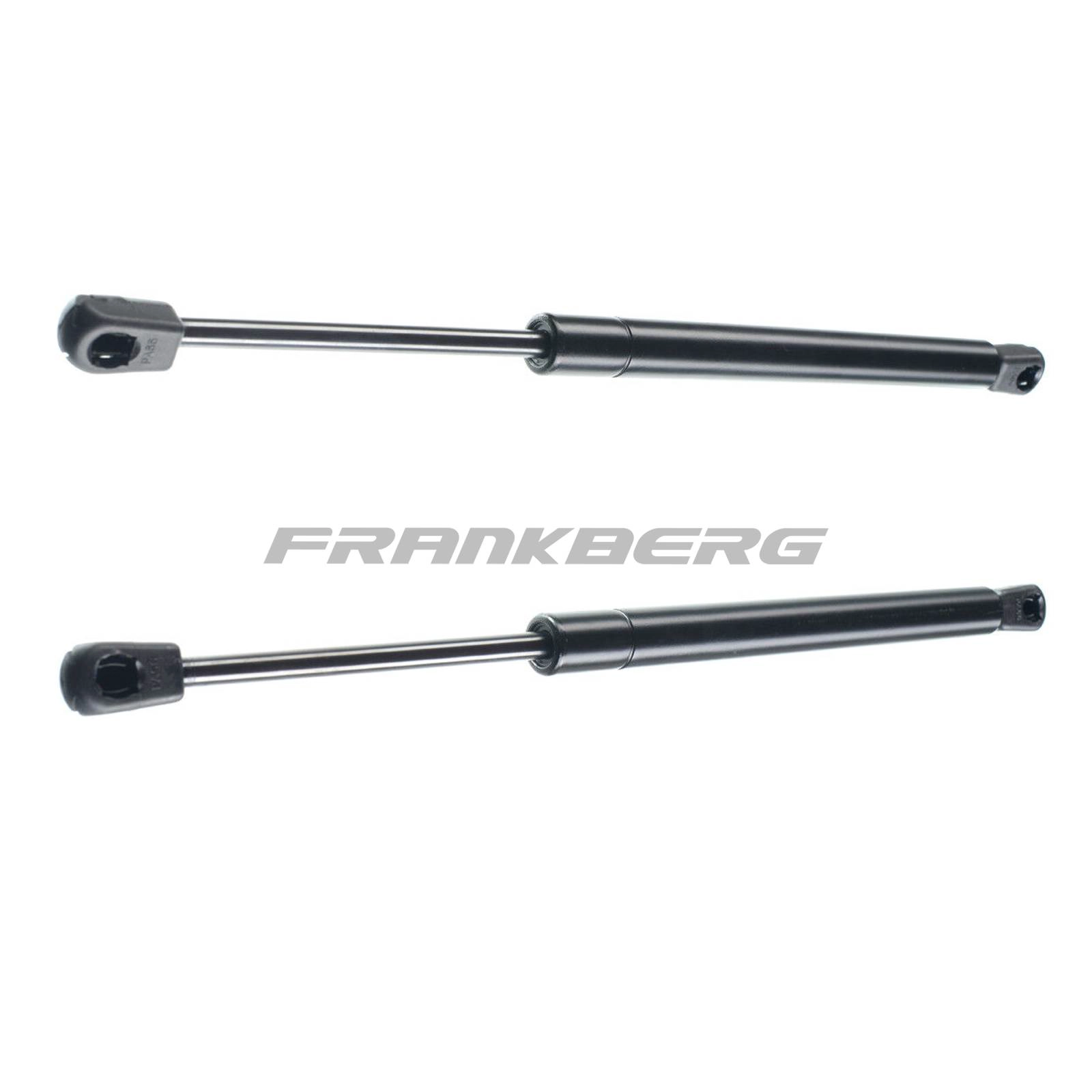 Gas Spring, boot/cargo area