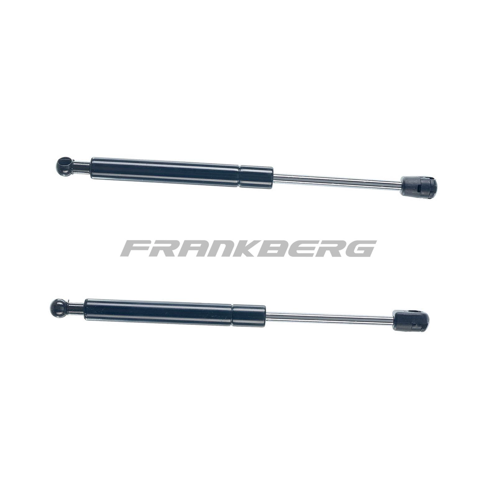 Gas Spring, boot/cargo area