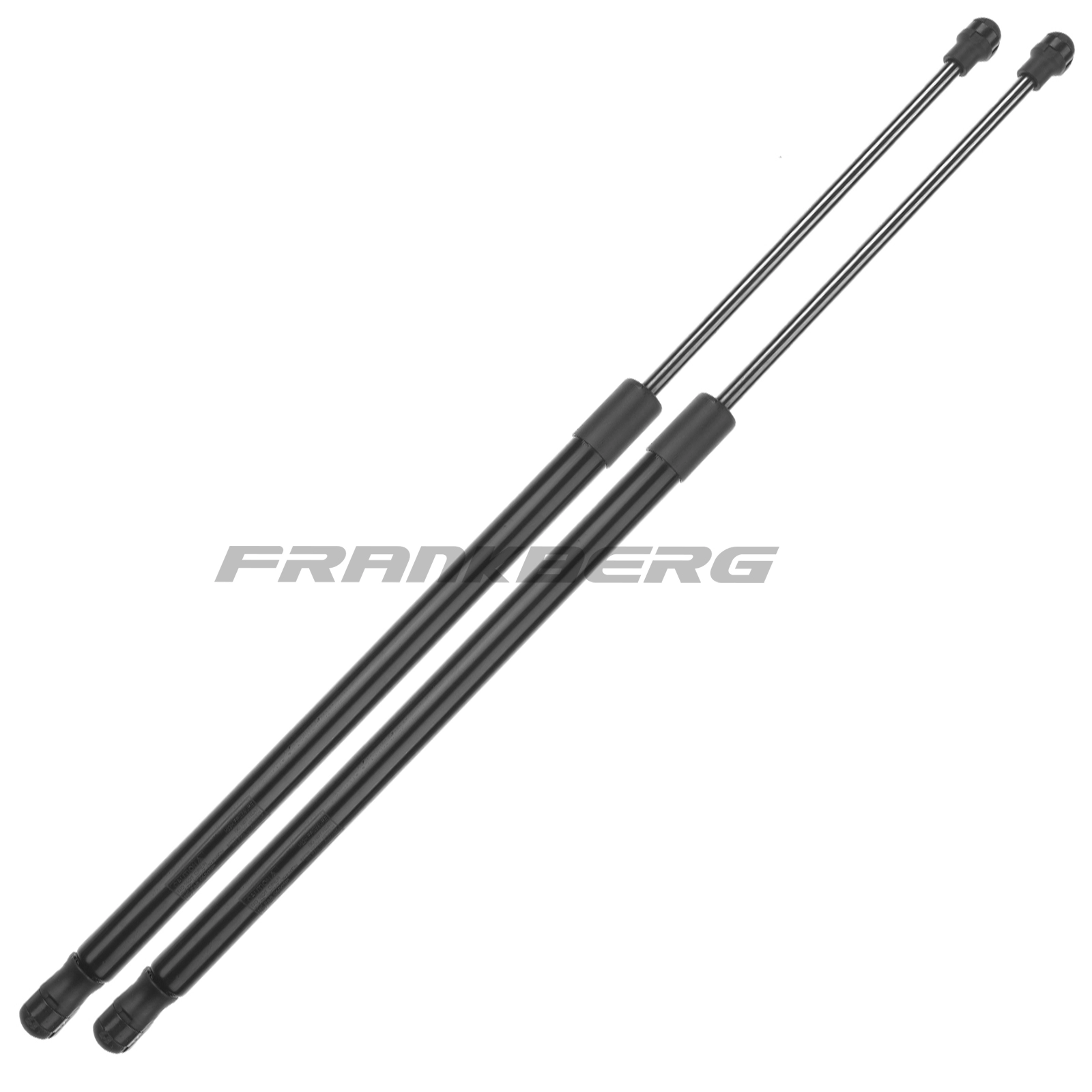 Gas Spring, boot/cargo area