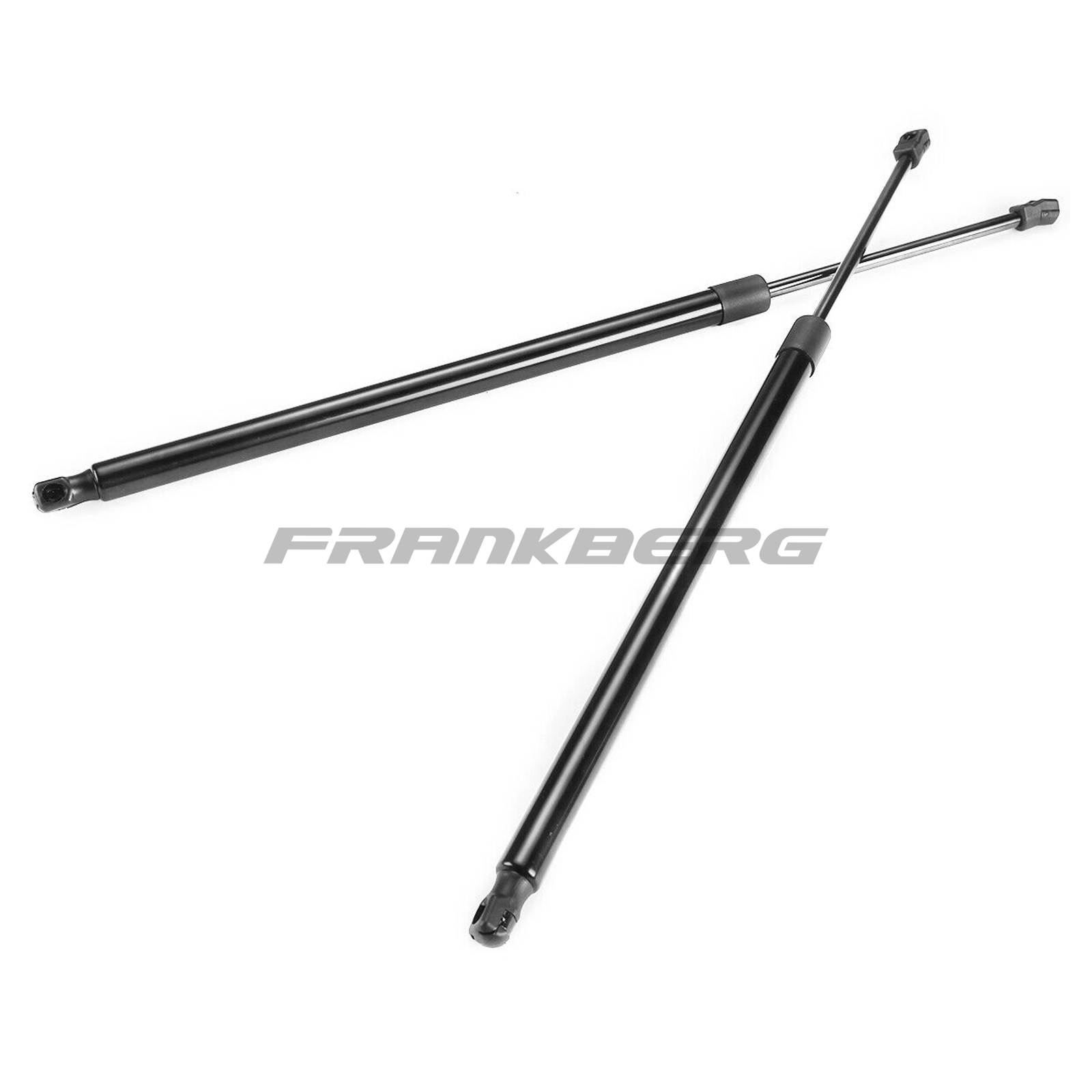 Gas Spring, boot/cargo area
