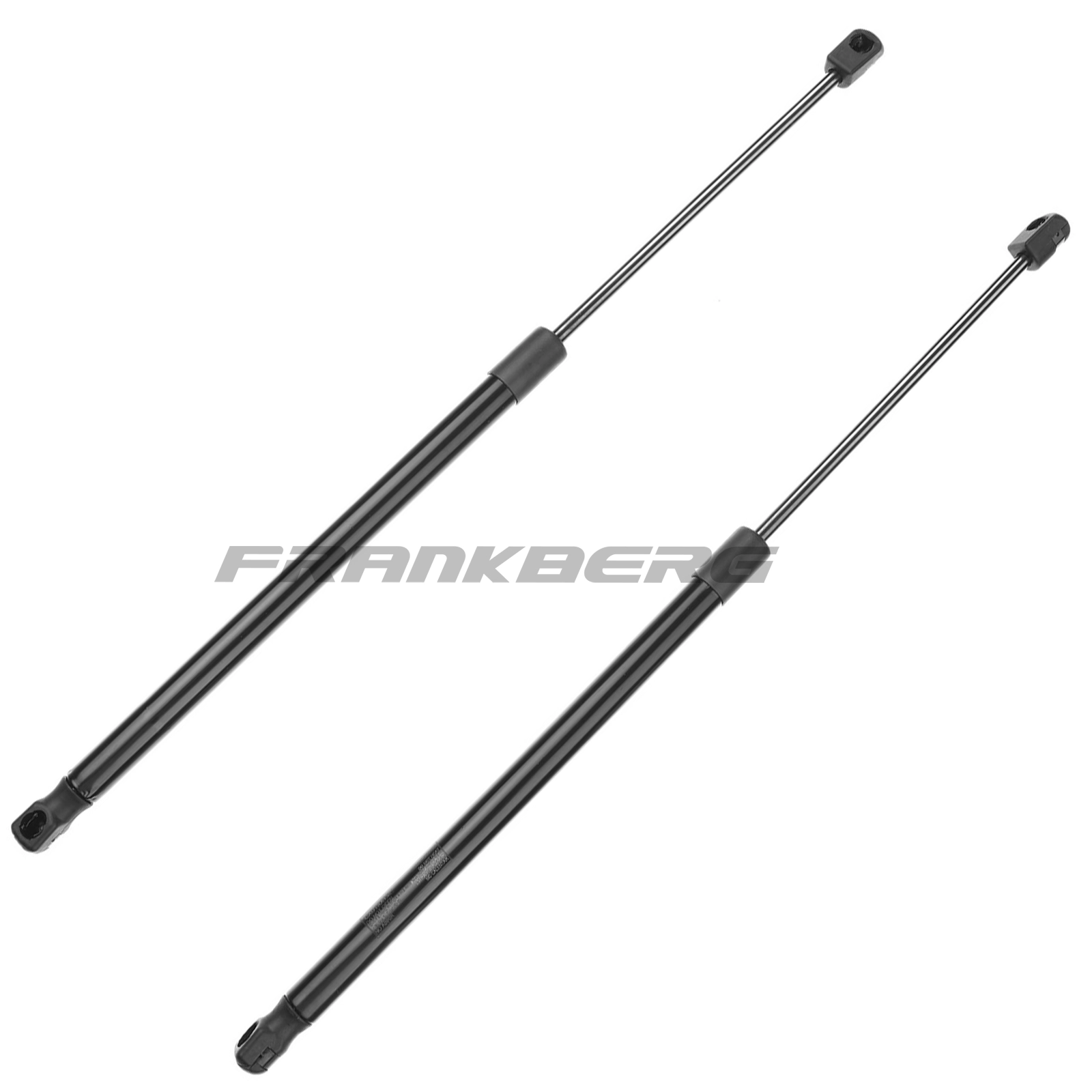 Gas Spring, boot/cargo area