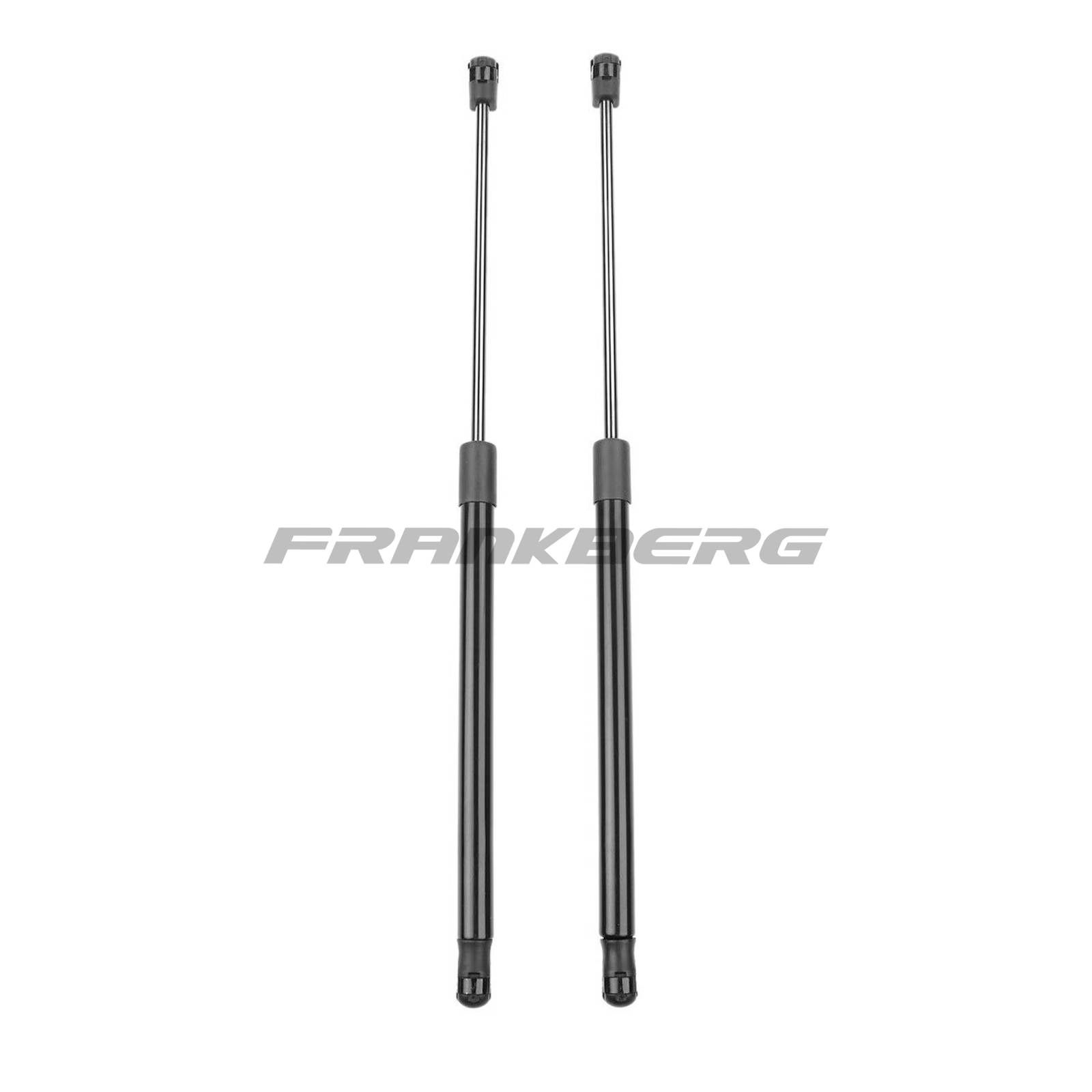Gas Spring, boot/cargo area