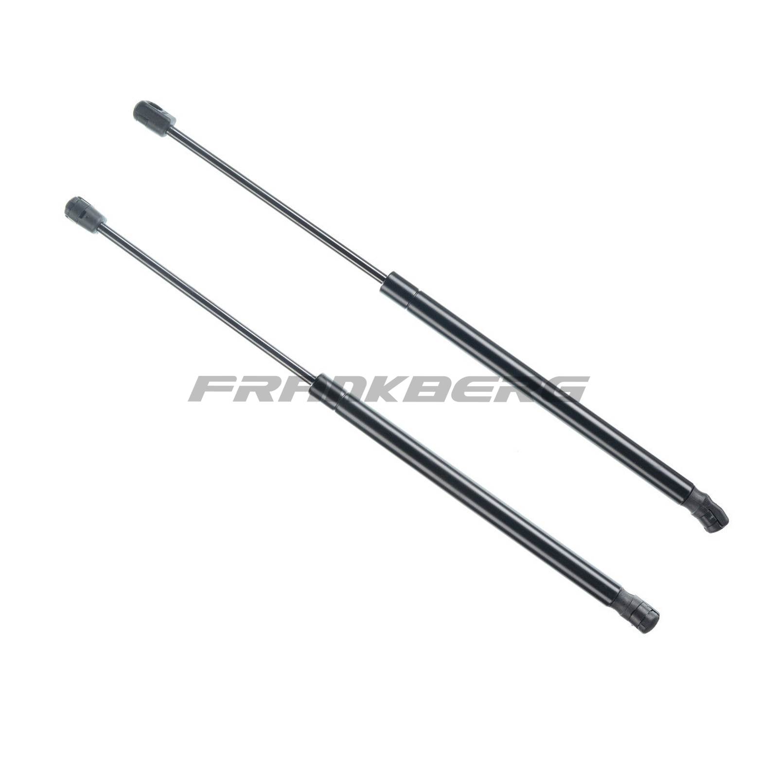 Gas Spring, boot/cargo area