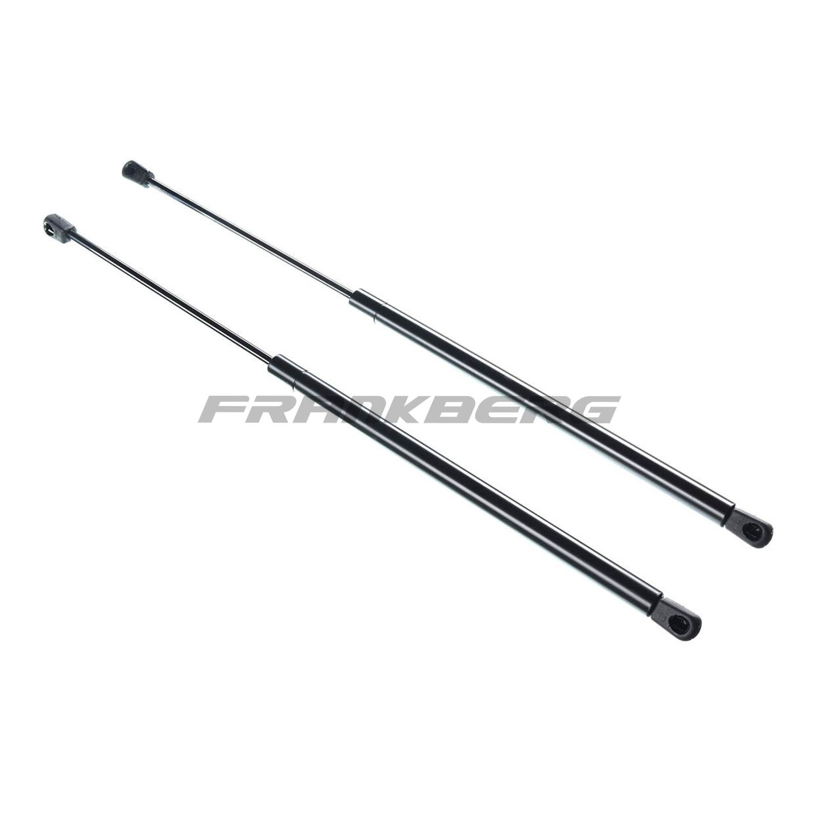 Gas Spring, boot/cargo area