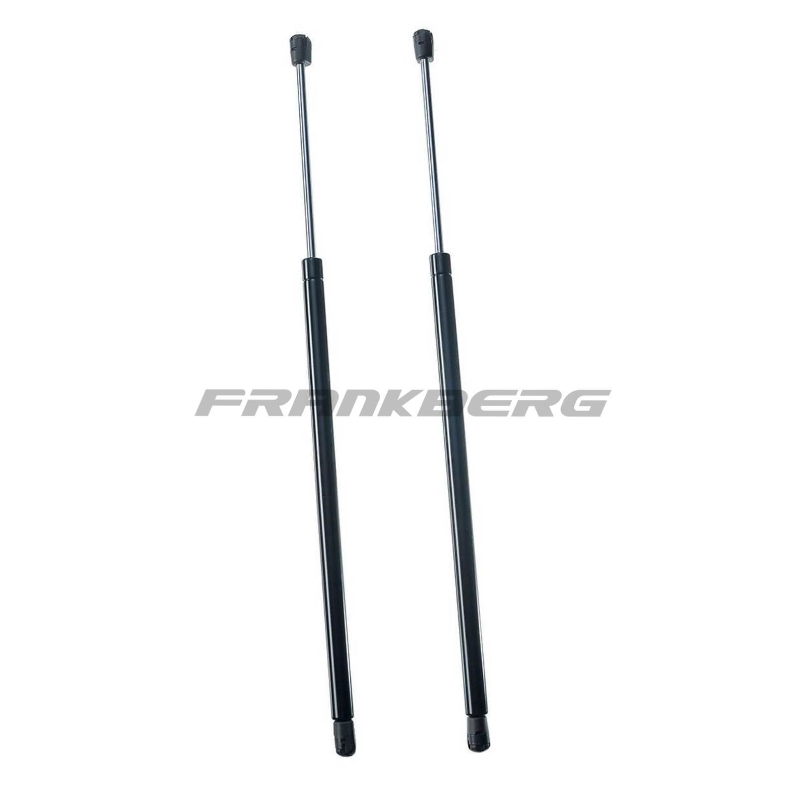 Gas Spring, boot/cargo area