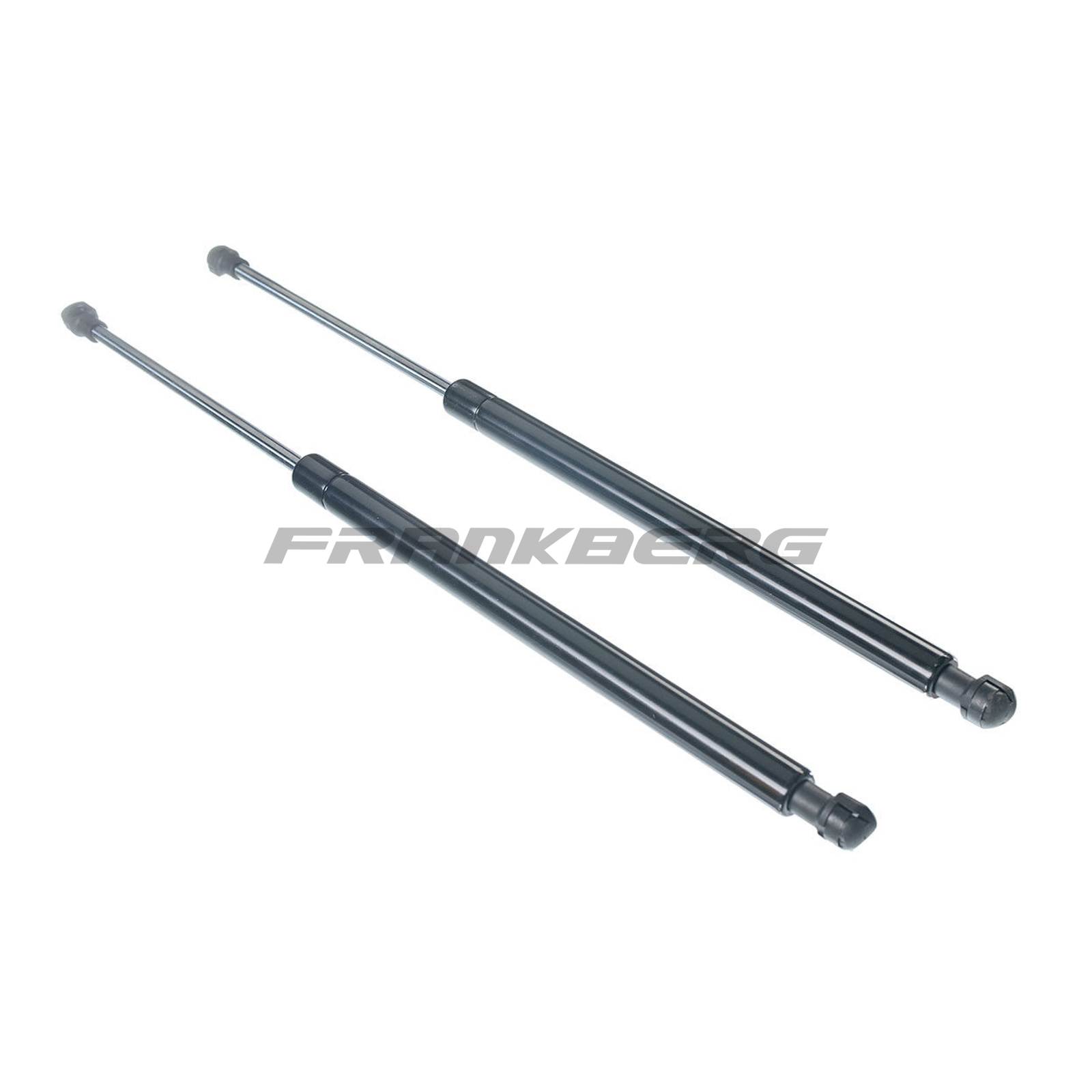 Gas Spring, boot/cargo area