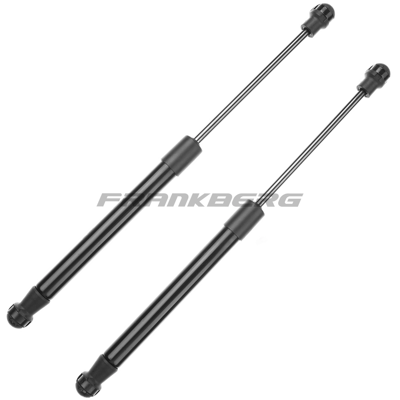 Gas Spring, boot/cargo area