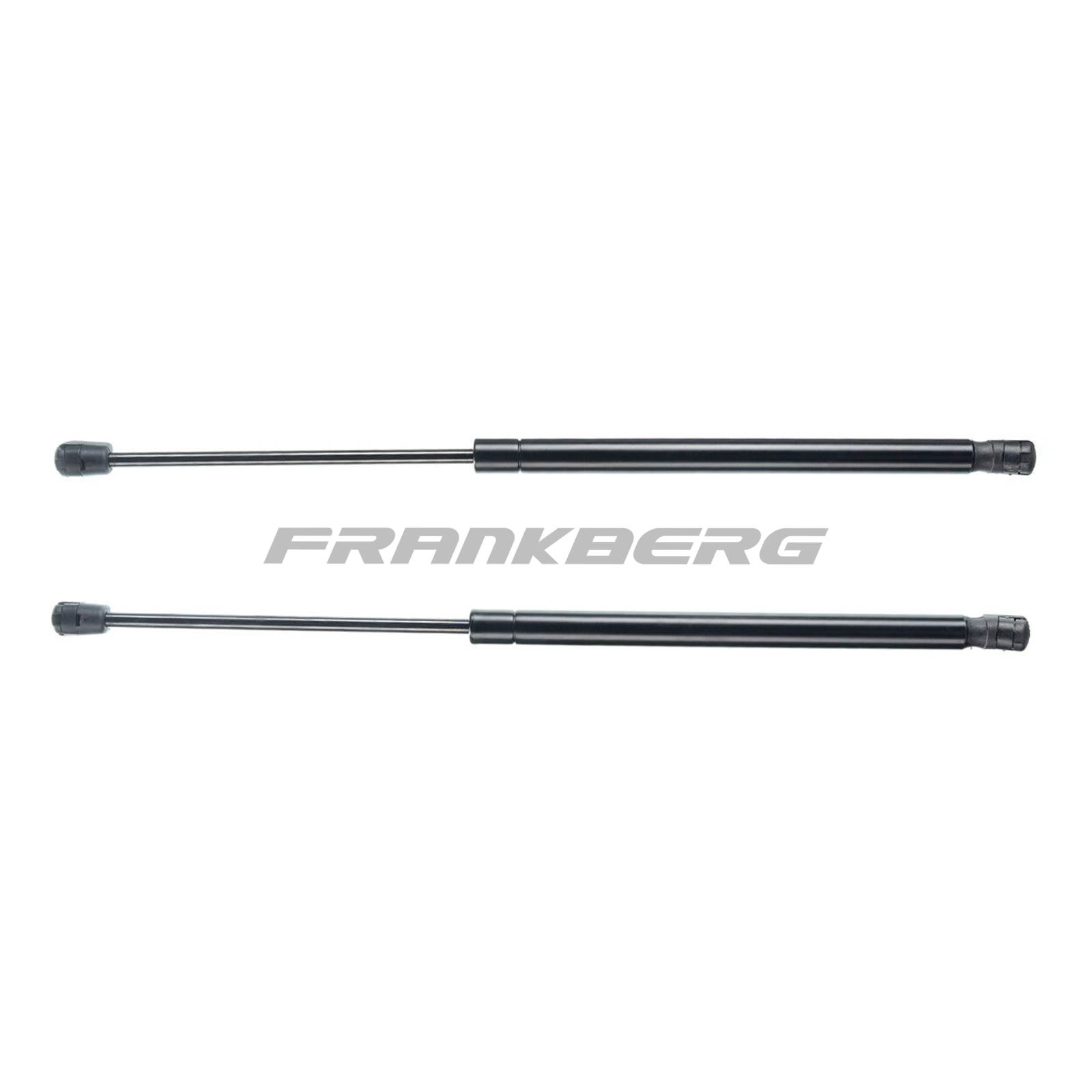 Gas Spring, boot/cargo area