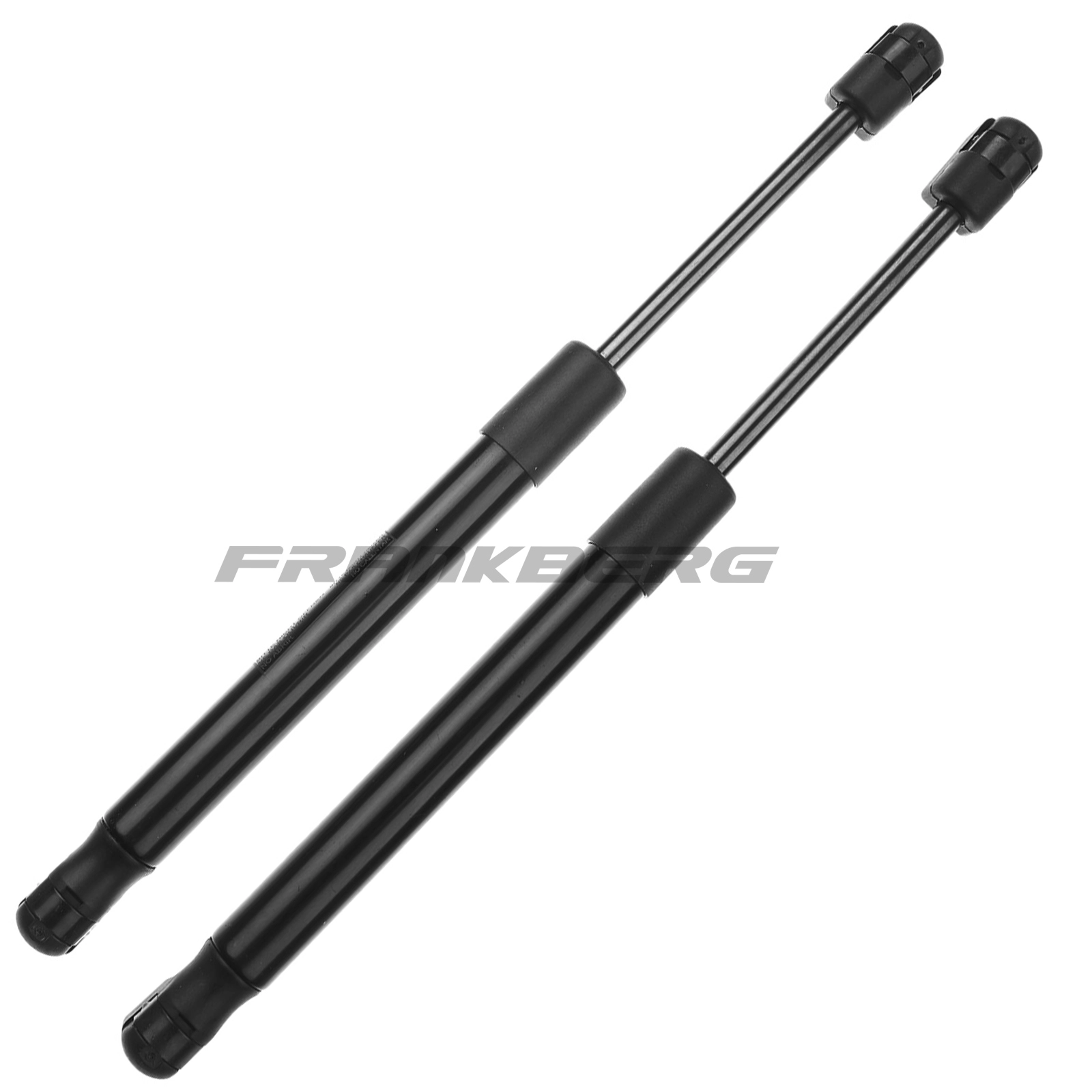 Gas Spring, boot/cargo area