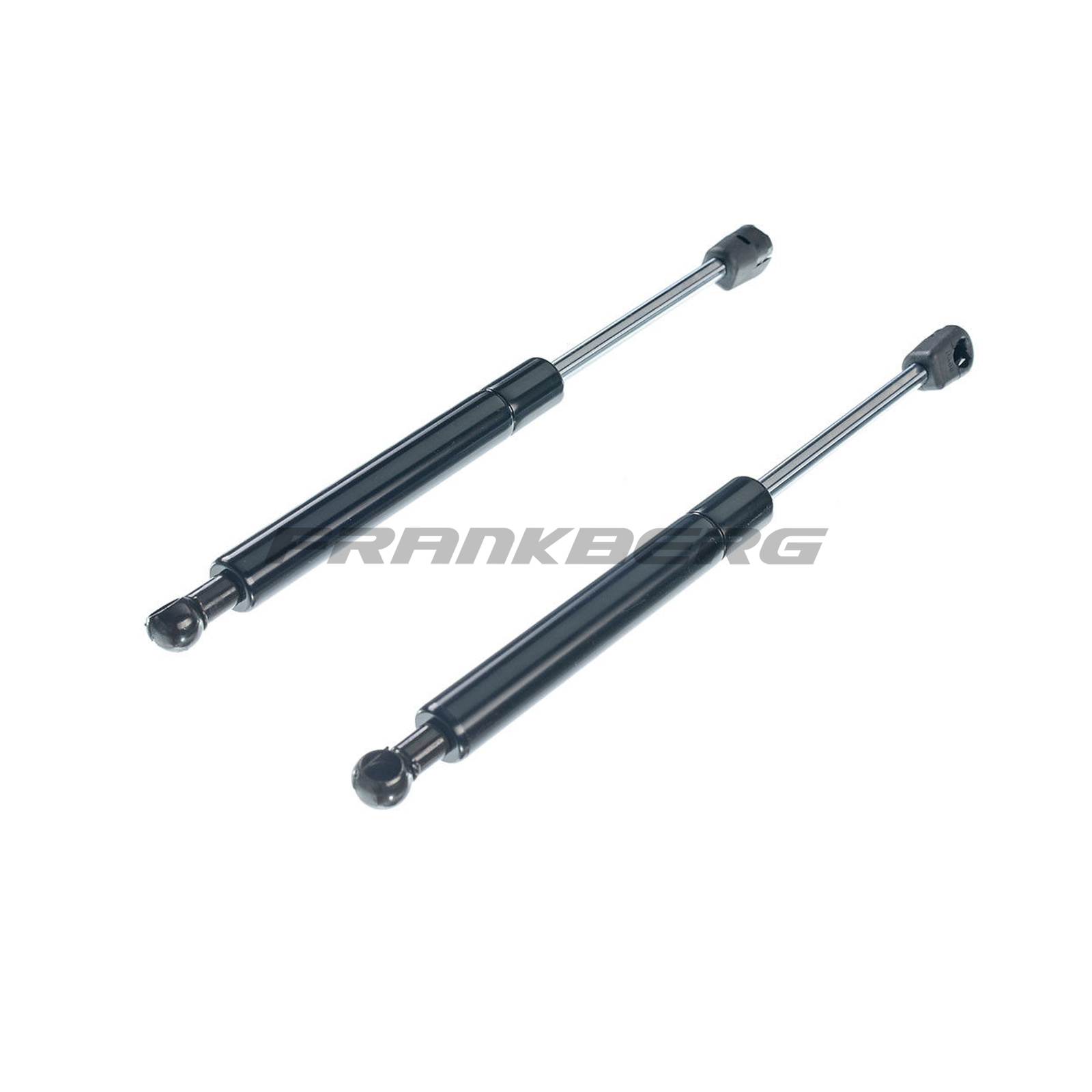 Gas Spring, boot/cargo area