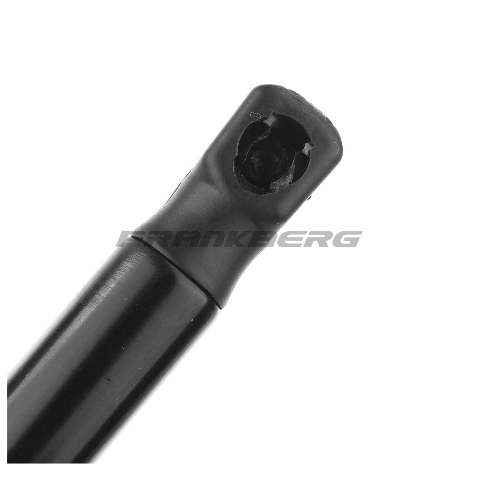 Gas Spring, boot/cargo area