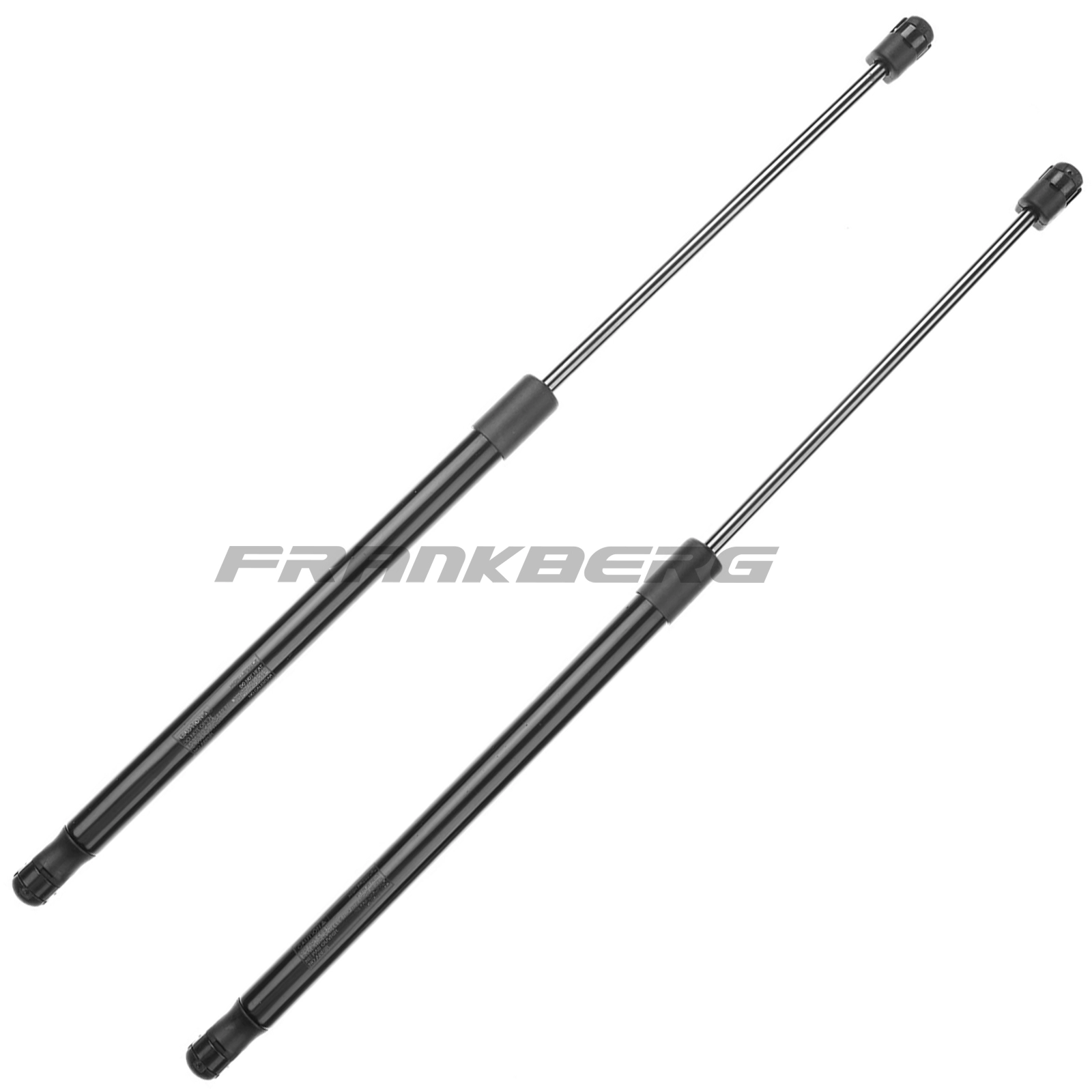 Gas Spring, boot/cargo area