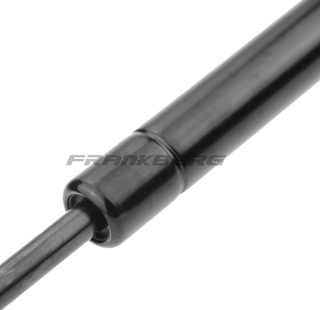 Gas Spring, boot/cargo area