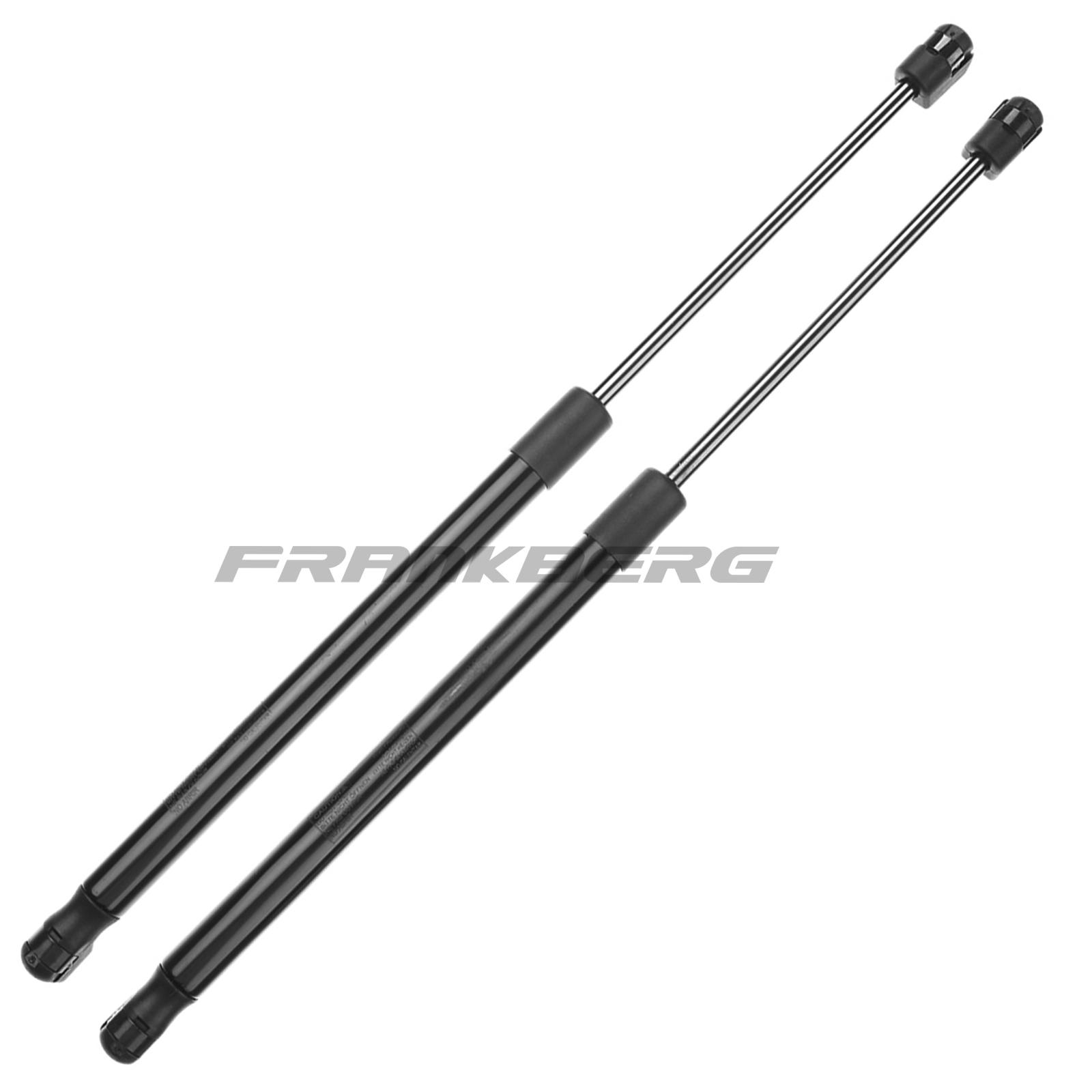 Gas Spring, boot/cargo area