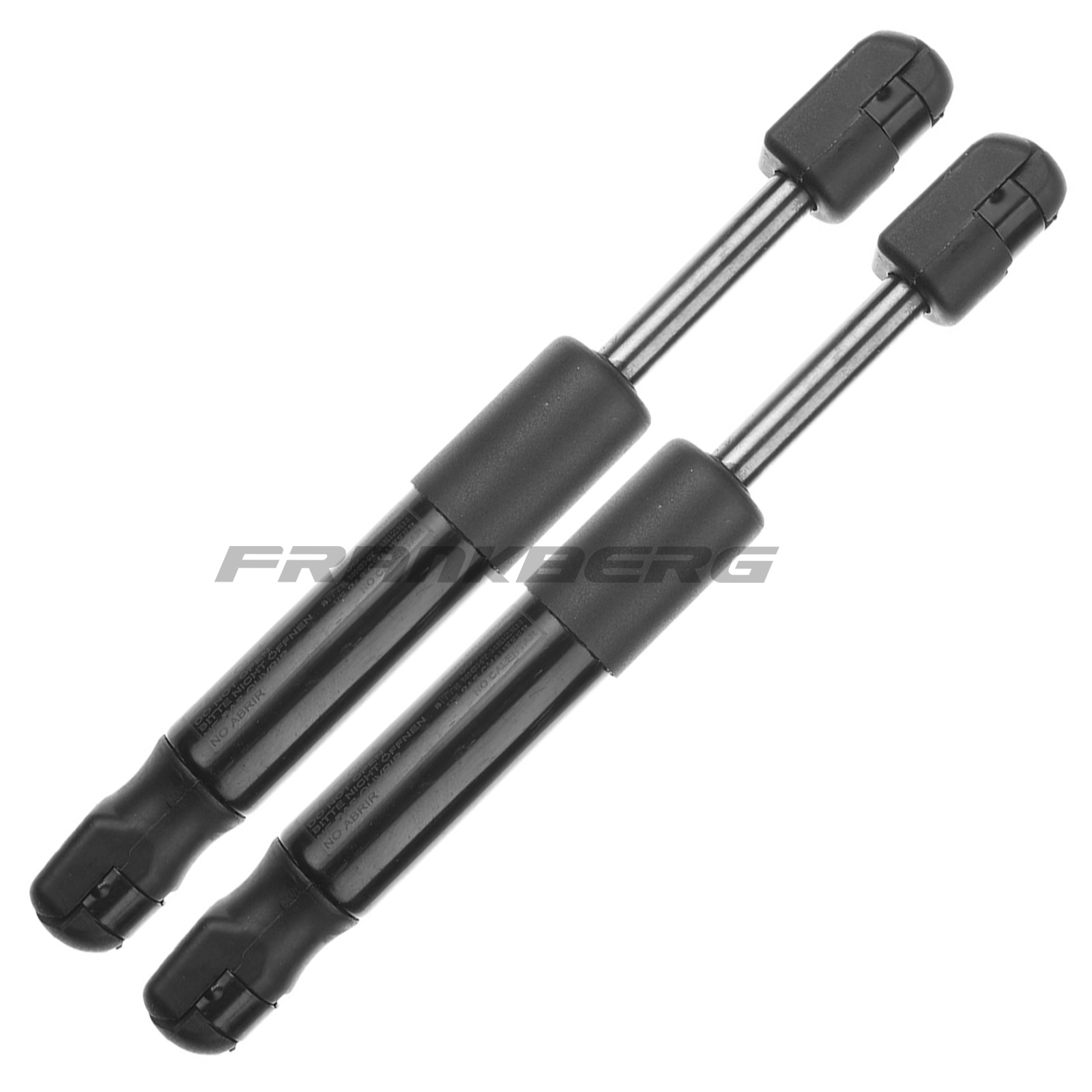 Gas Spring, boot/cargo area