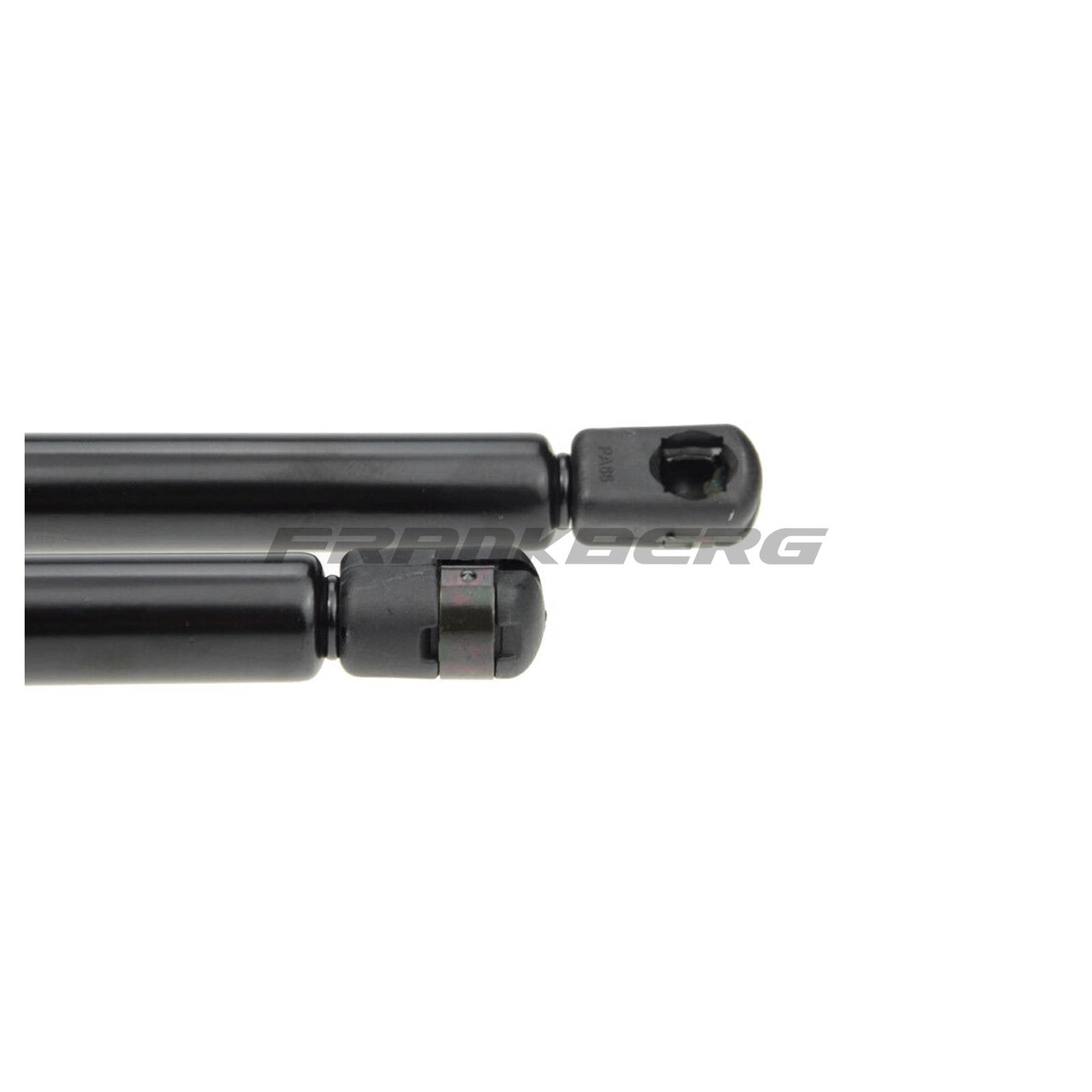 Gas Spring, boot/cargo area