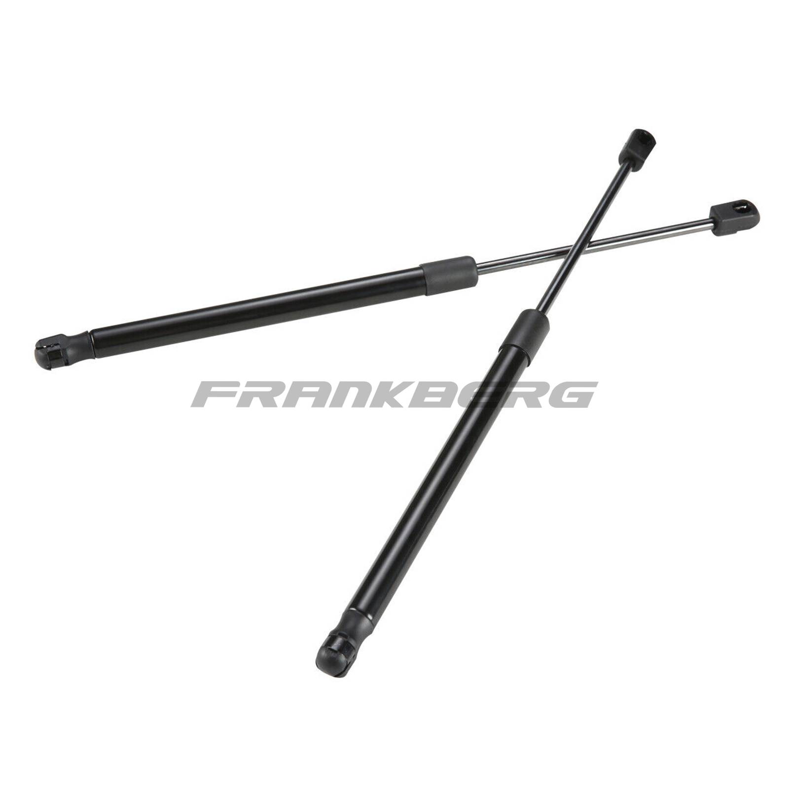 Gas Spring, boot/cargo area