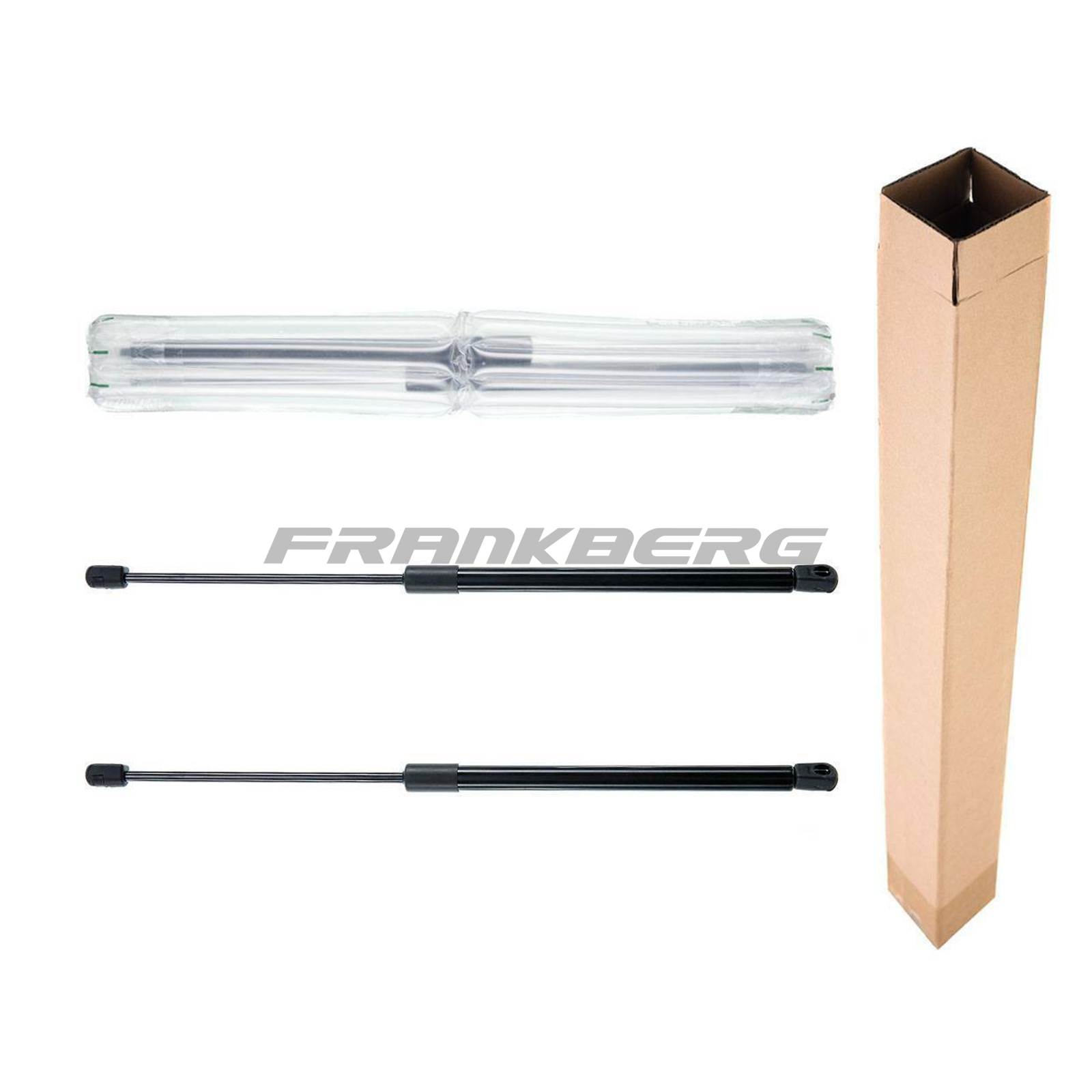 Gas Spring, boot/cargo area