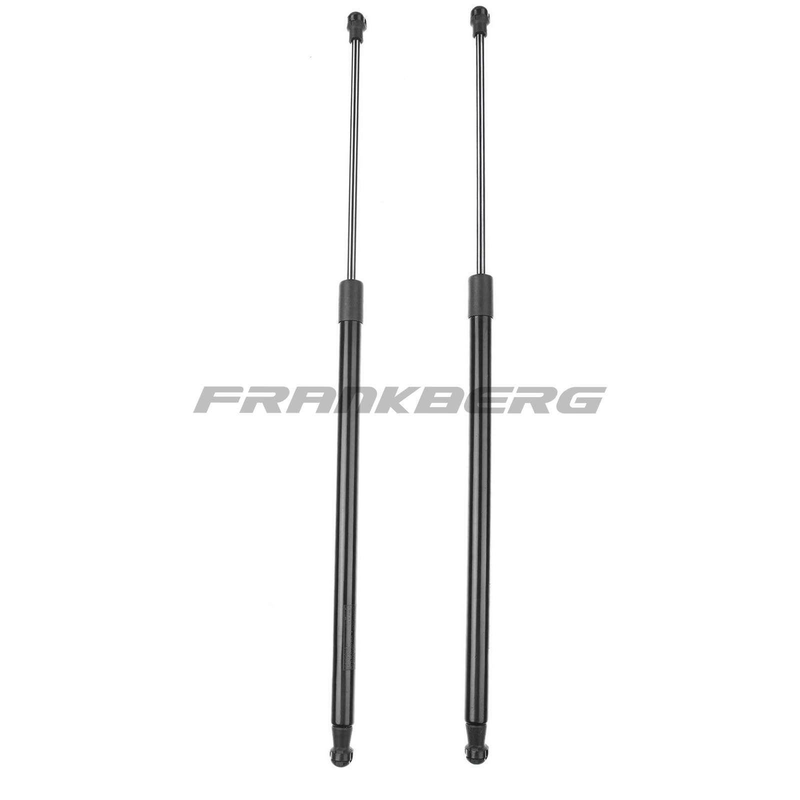 Gas Spring, boot/cargo area