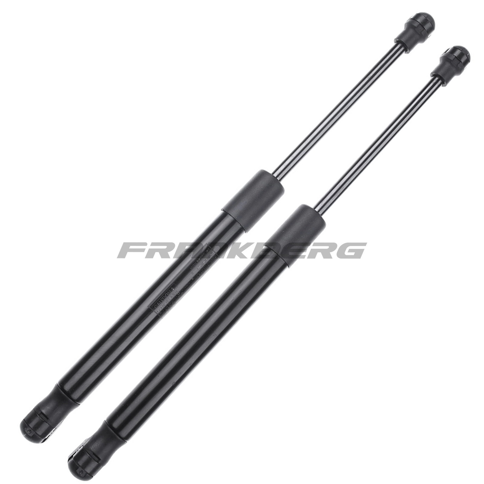 Gas Spring, boot/cargo area