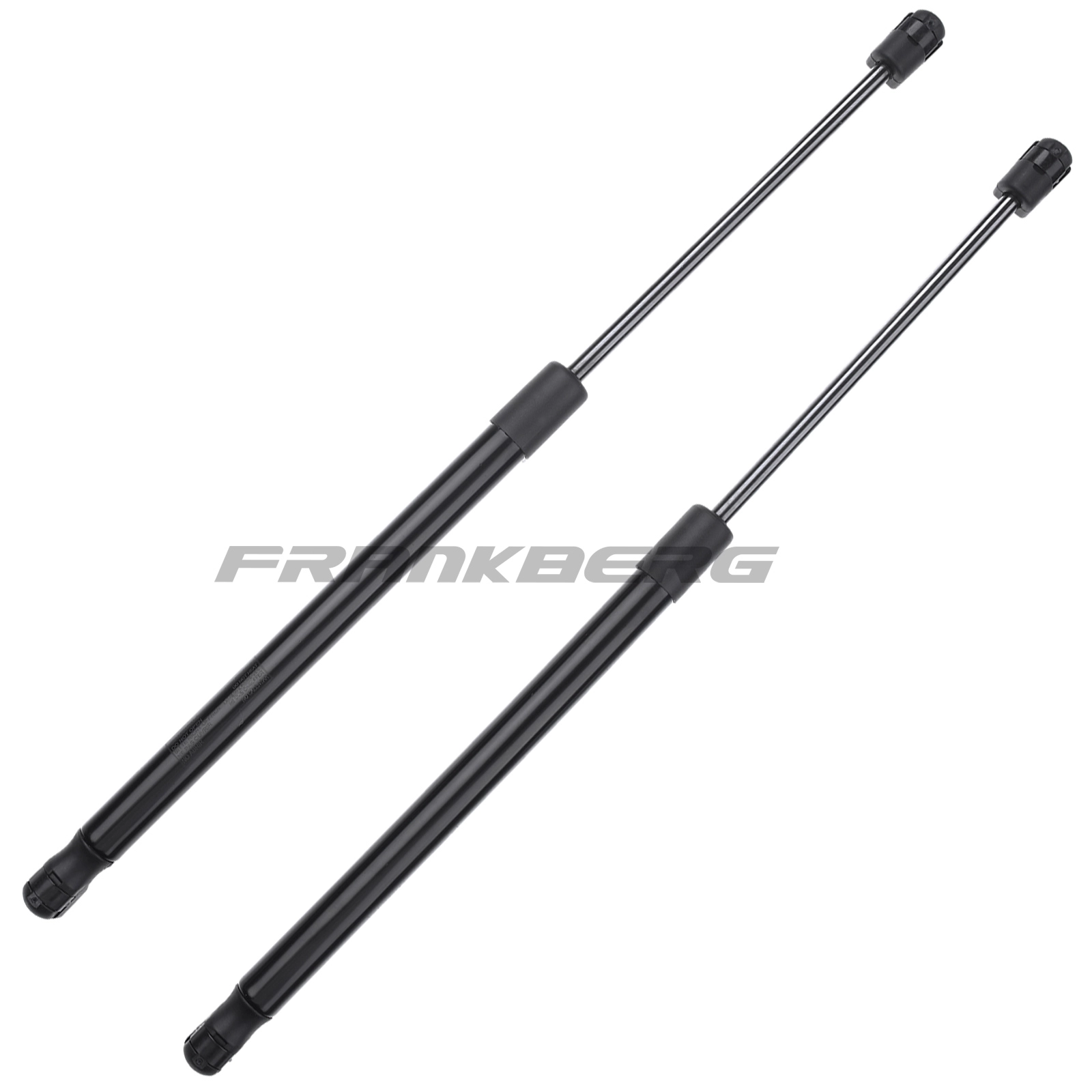 Gas Spring, boot/cargo area