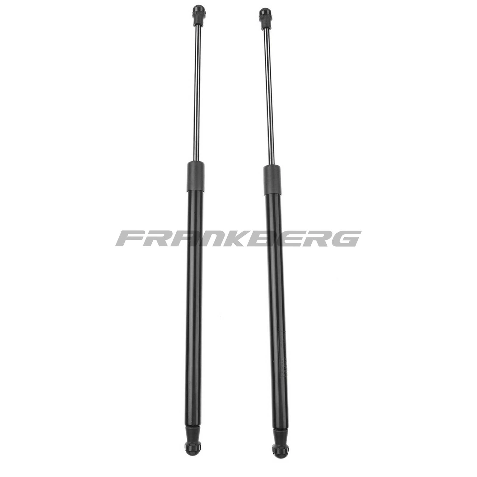 Gas Spring, boot/cargo area