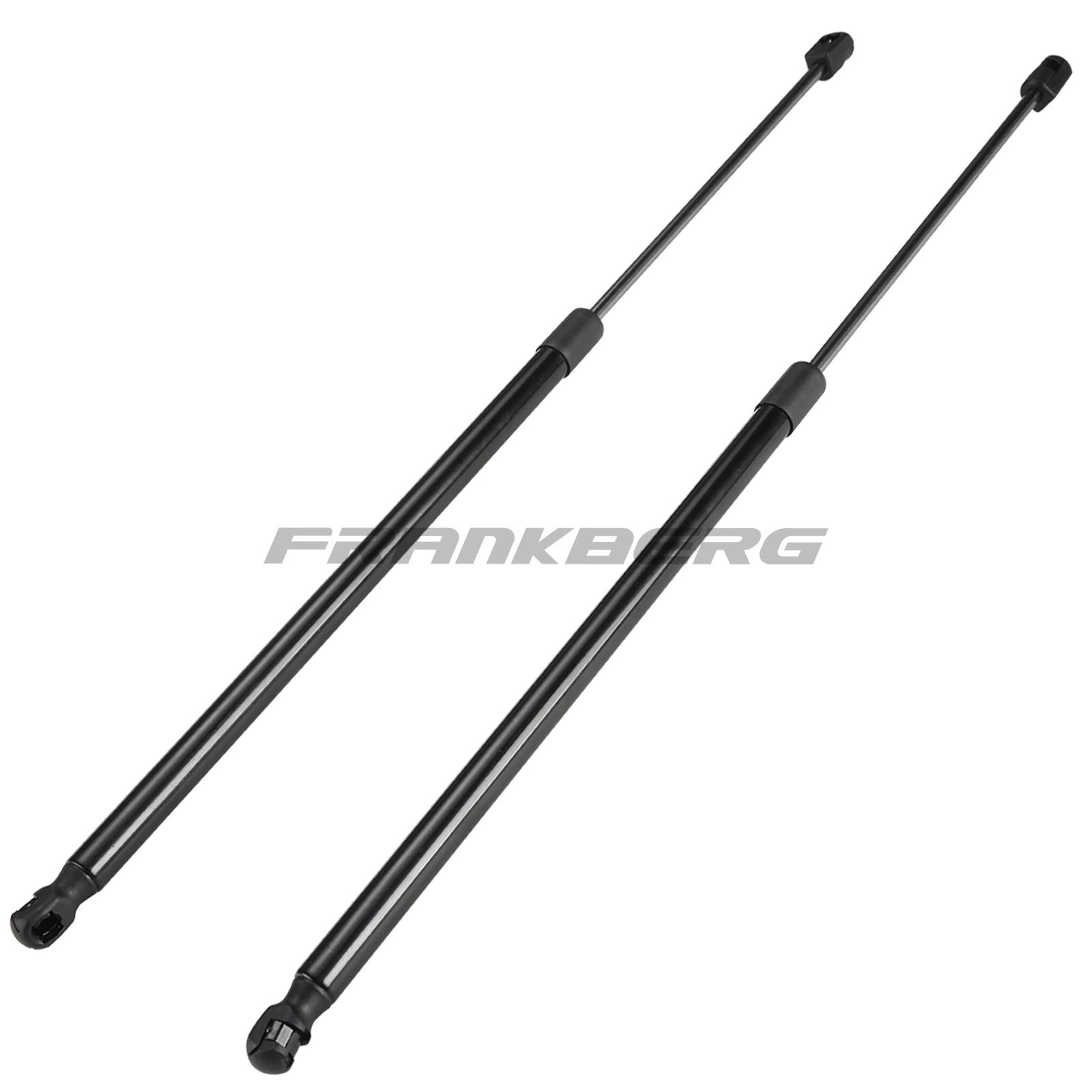 Gas Spring, boot/cargo area