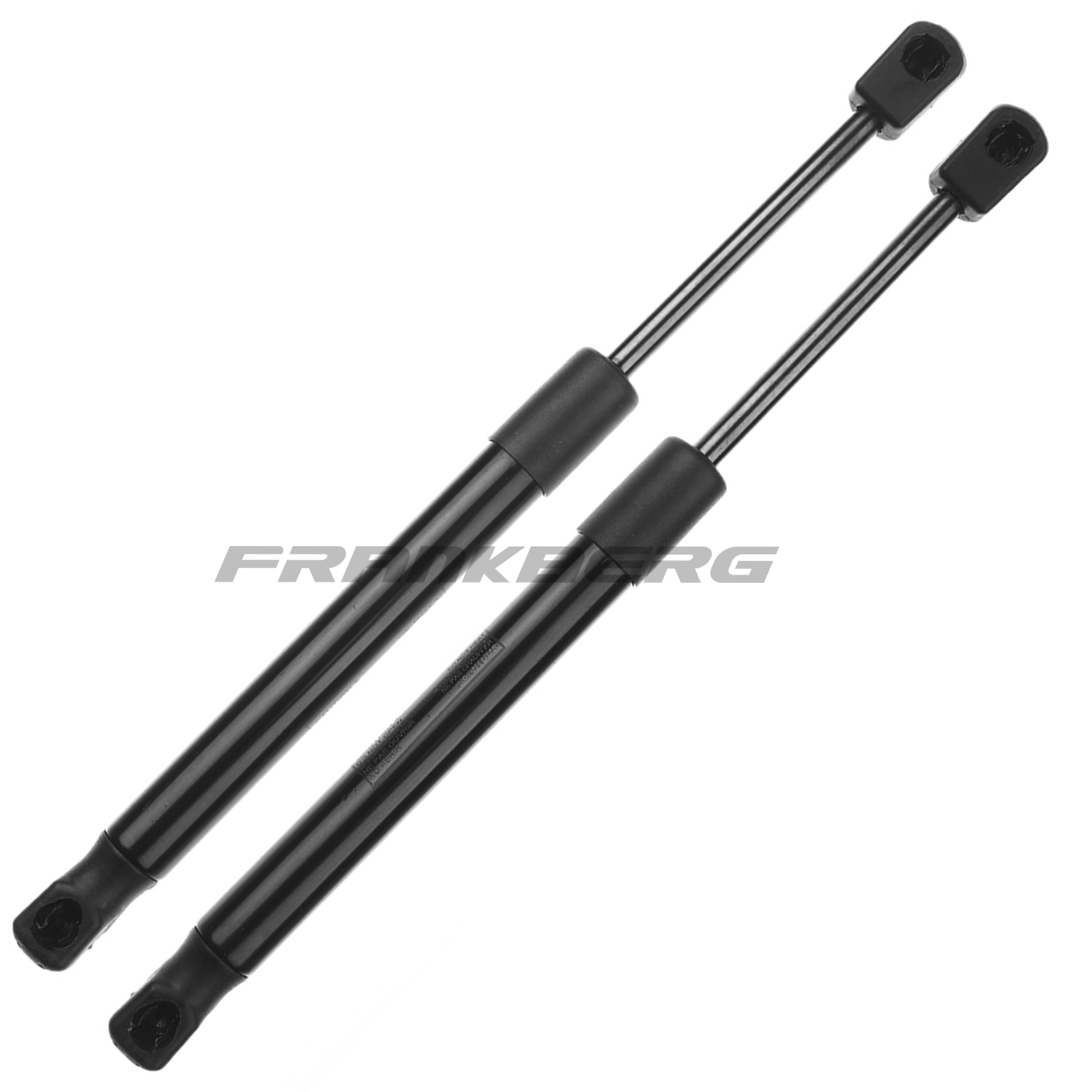 Gas Spring, boot/cargo area