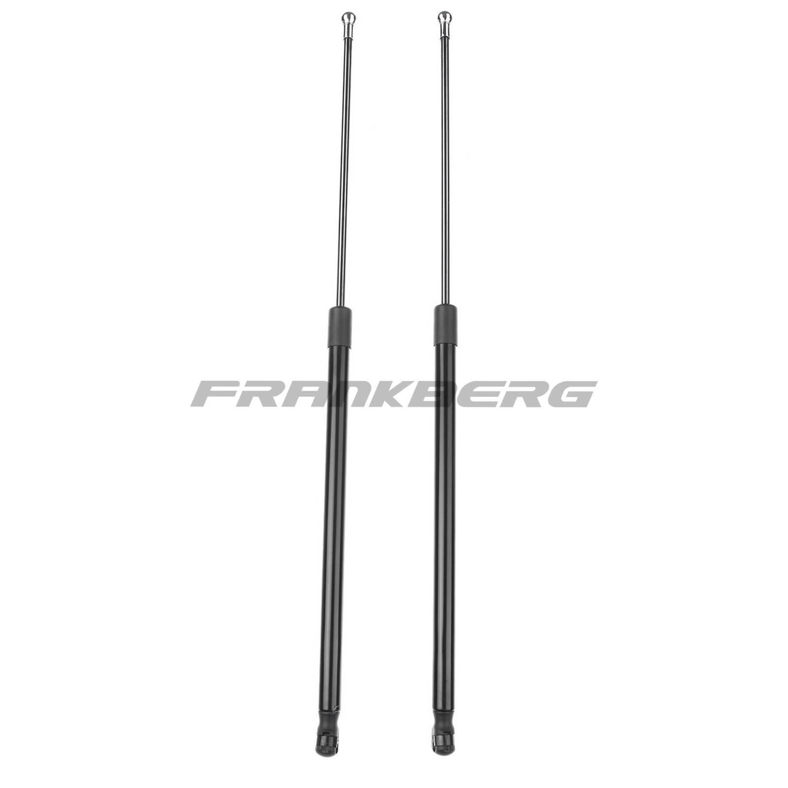 Gas Spring, boot/cargo area