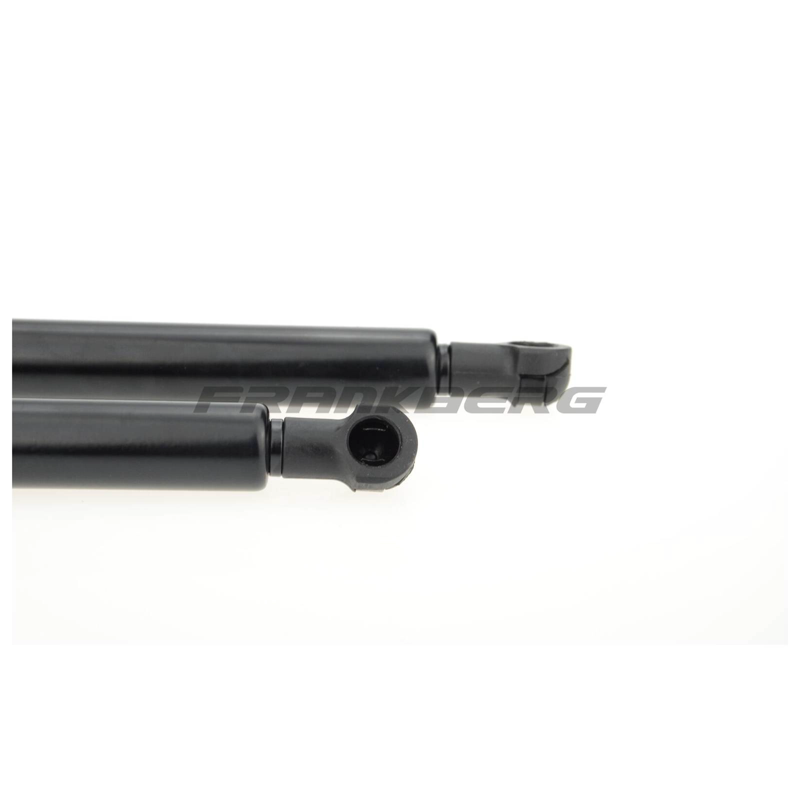 Gas Spring, boot/cargo area