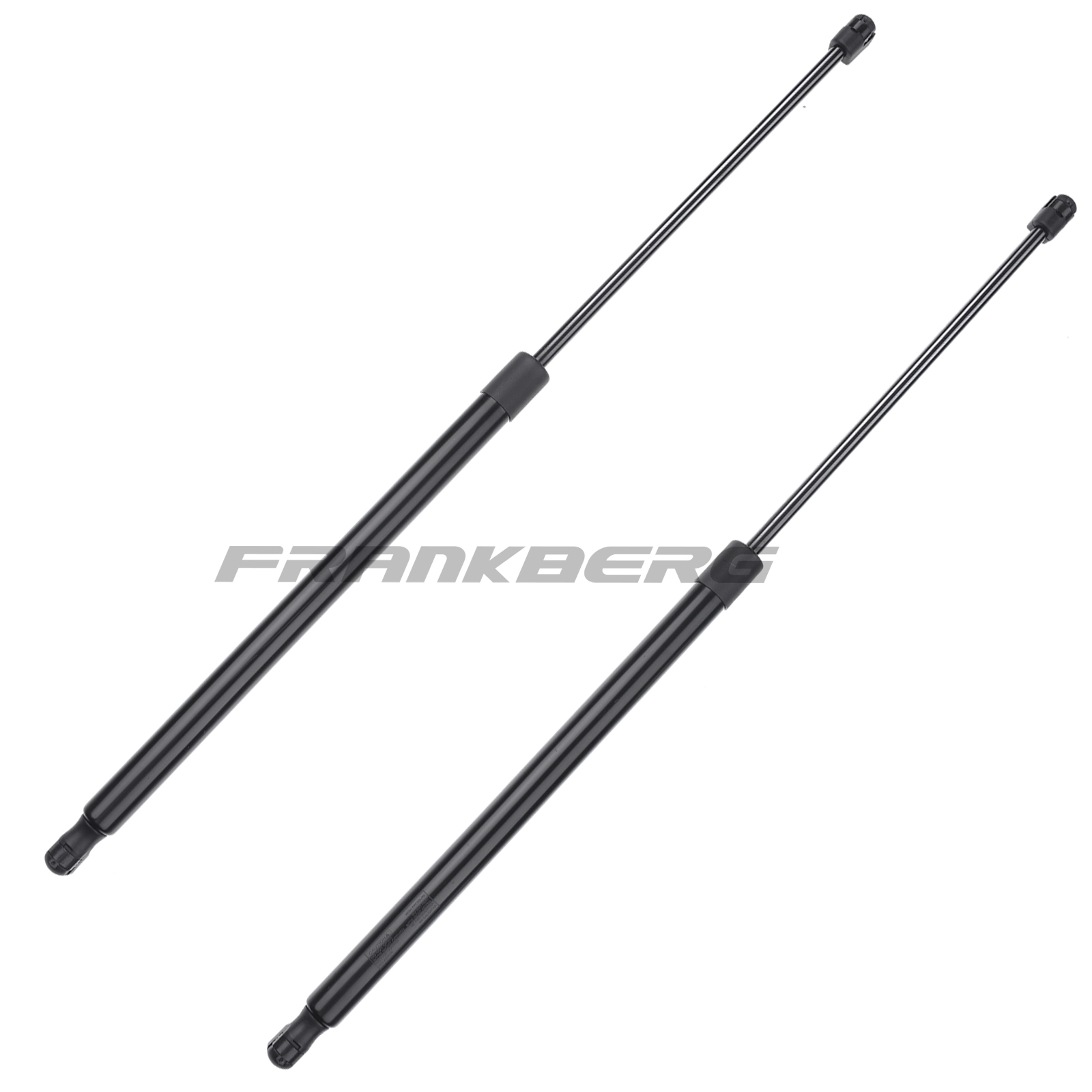 Gas Spring, boot/cargo area