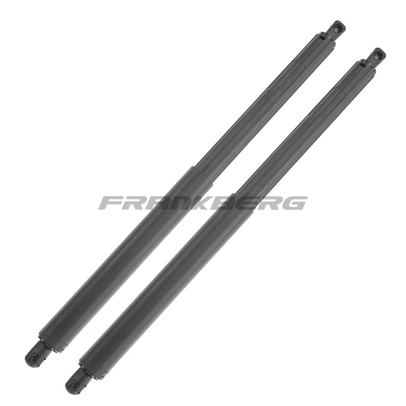 Gas Spring, boot/cargo area