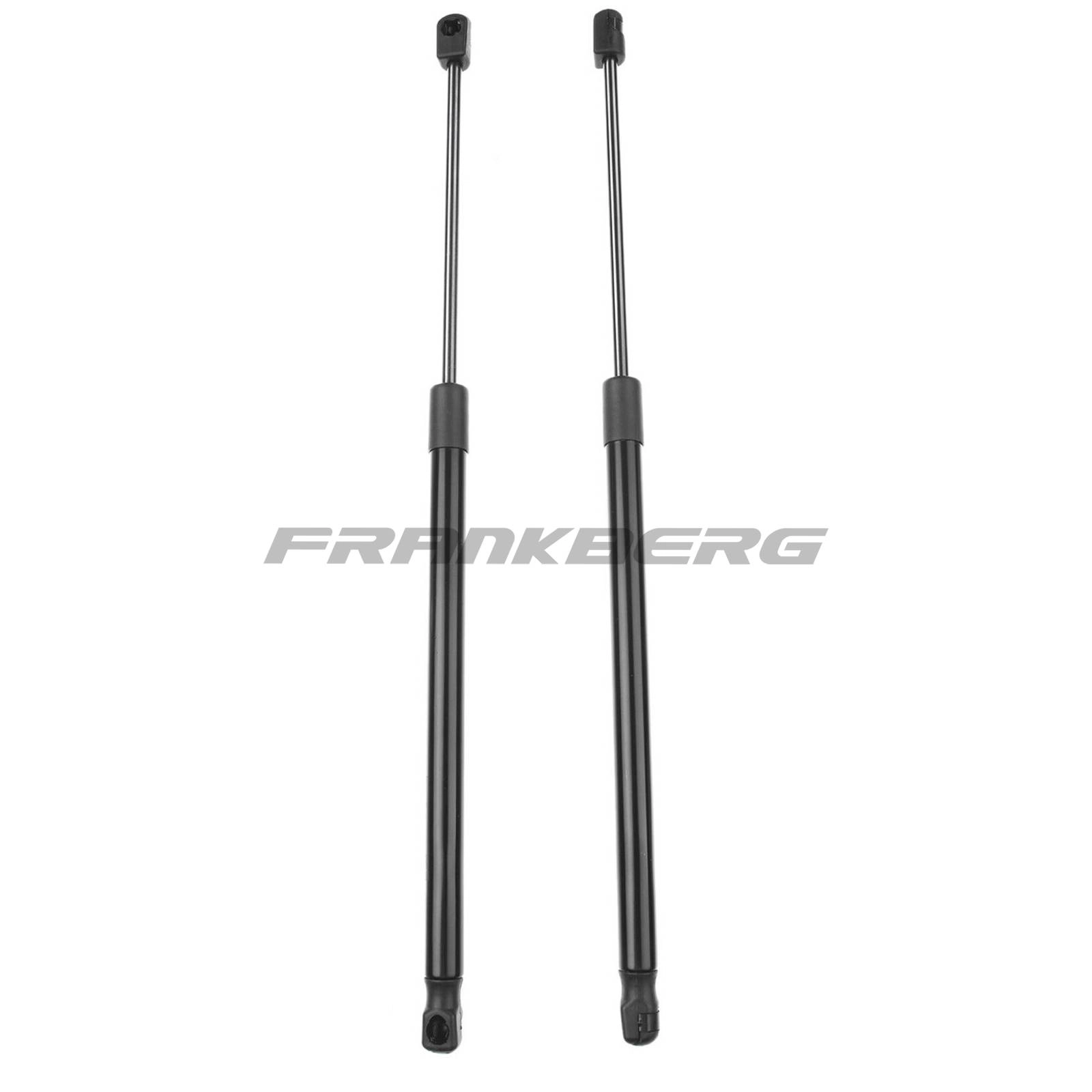 Gas Spring, boot/cargo area