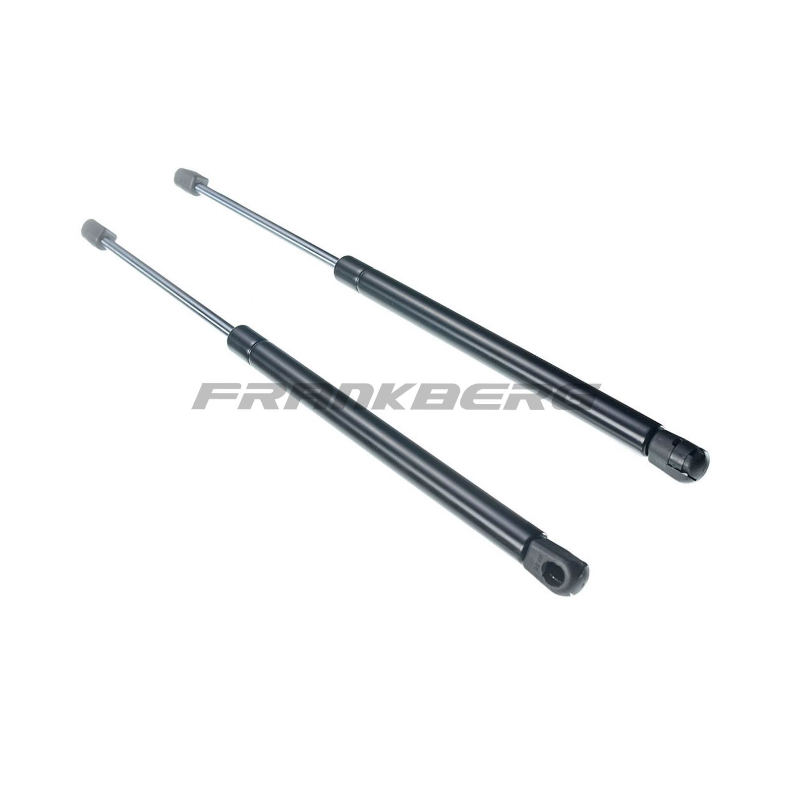 Gas Spring, boot/cargo area