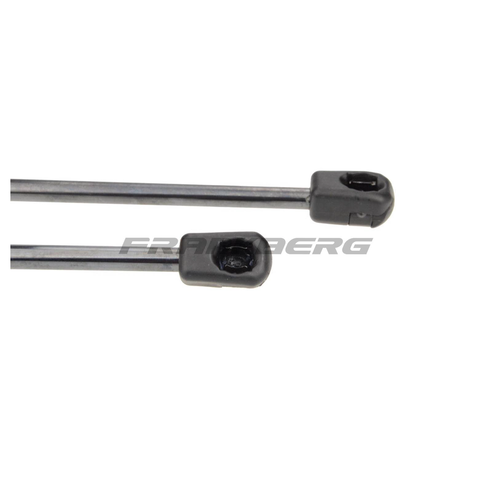 Gas Spring, boot/cargo area