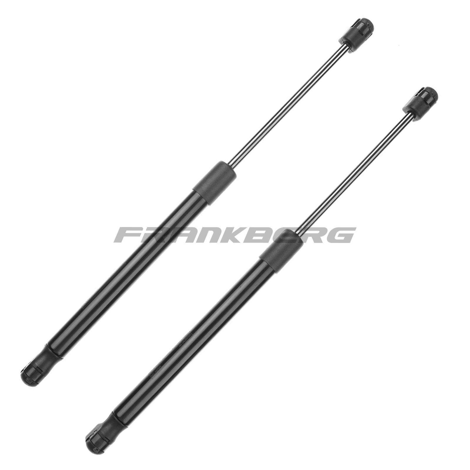 Gas Spring, boot/cargo area