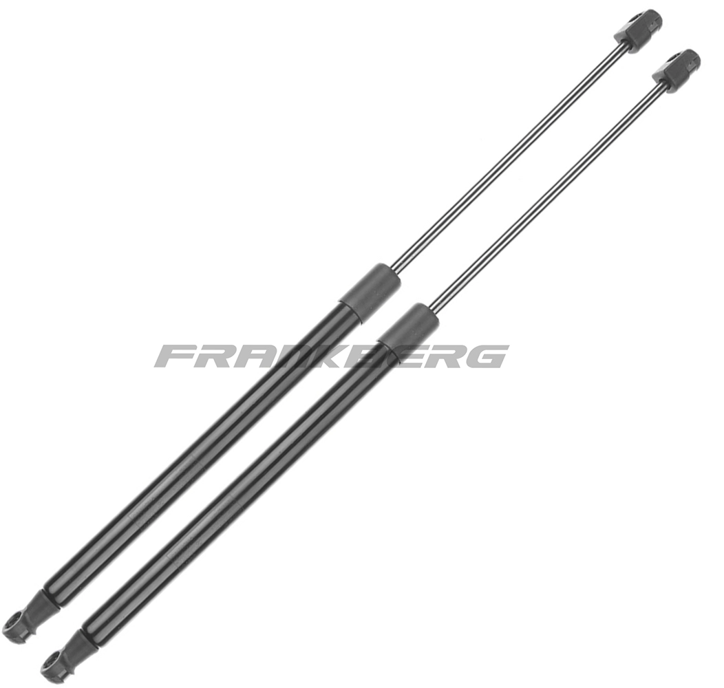 Gas Spring, boot/cargo area