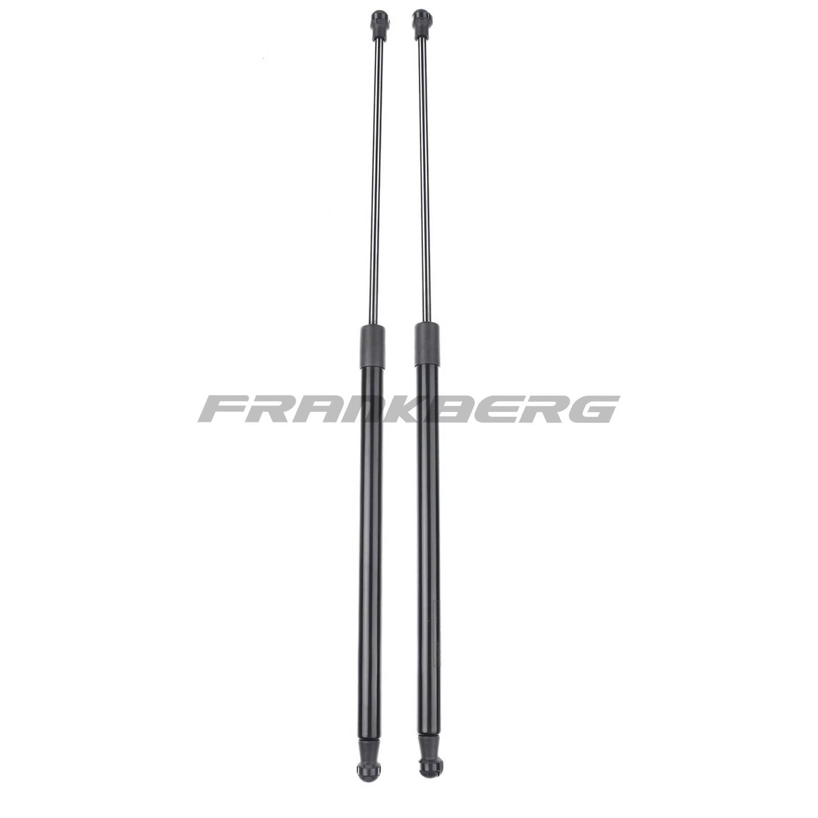 Gas Spring, boot/cargo area