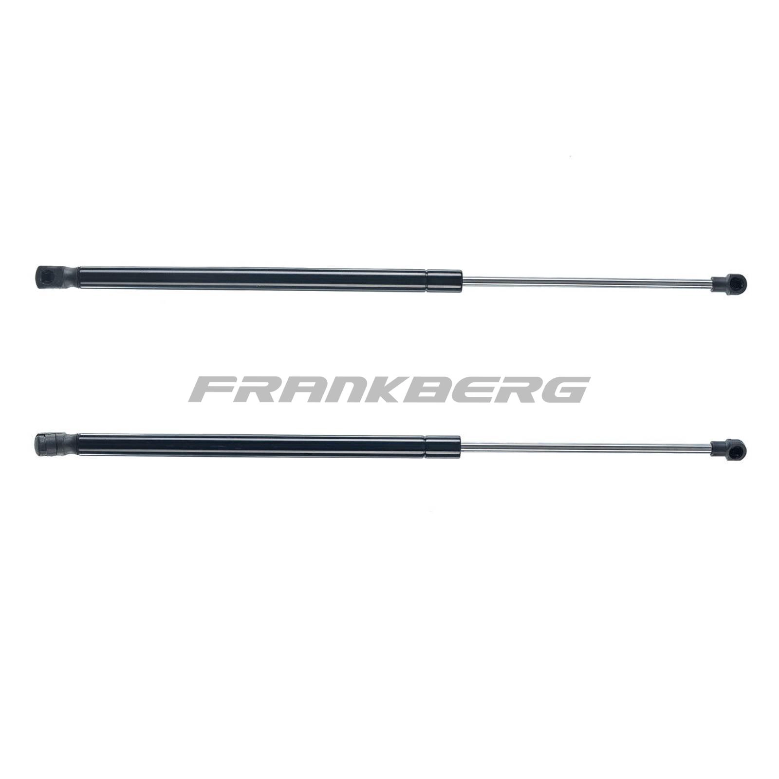Gas Spring, boot/cargo area