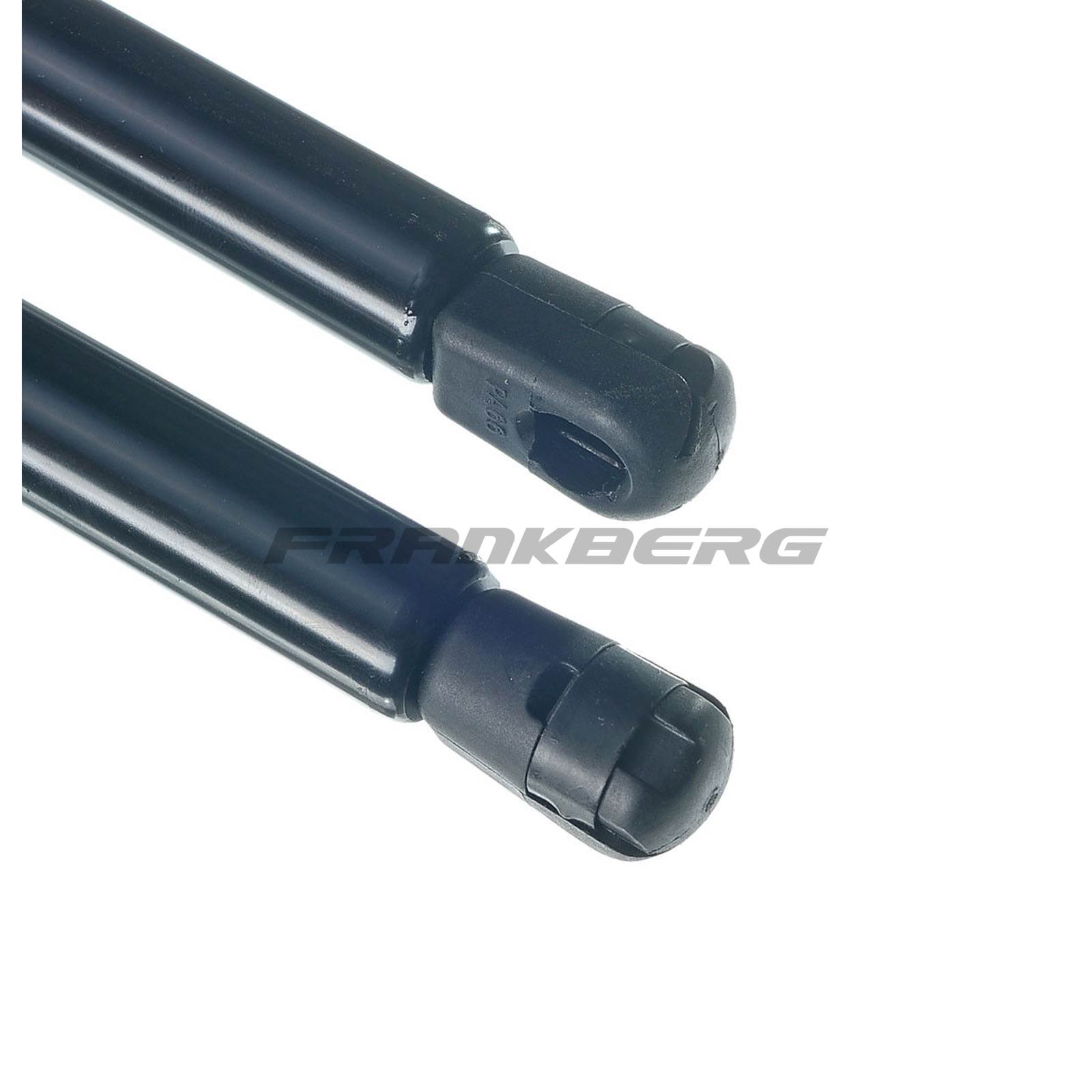 Gas Spring, boot/cargo area
