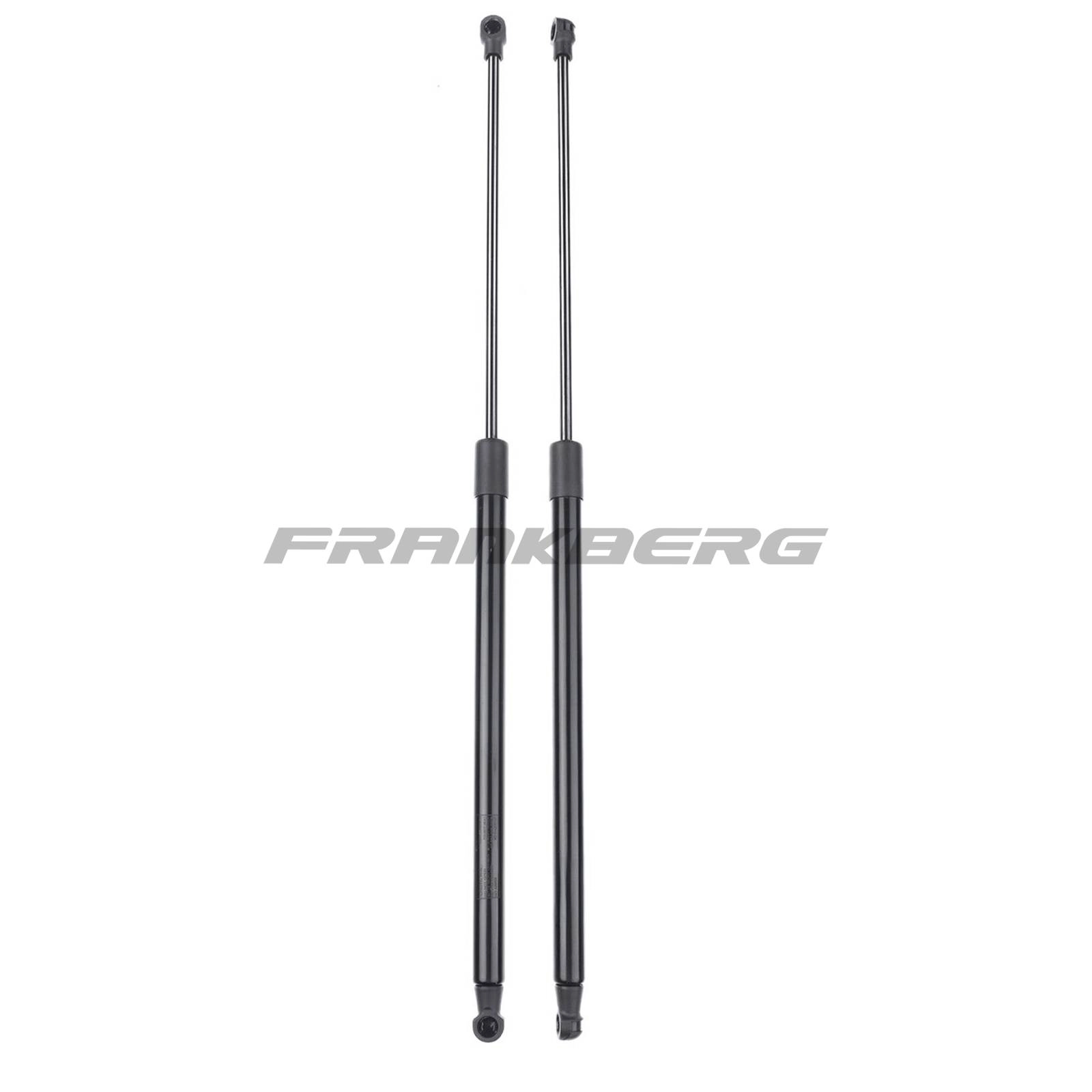Gas Spring, boot/cargo area