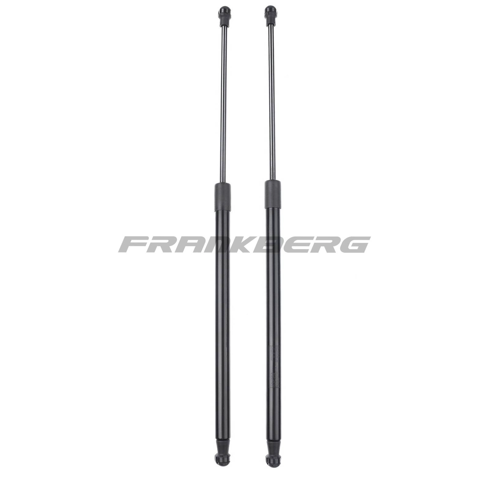 Gas Spring, boot/cargo area