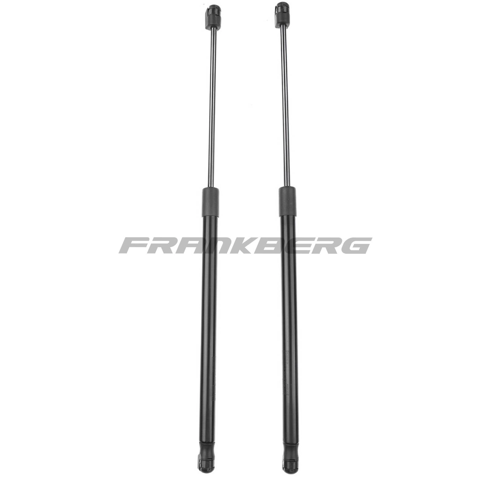 Gas Spring, boot/cargo area