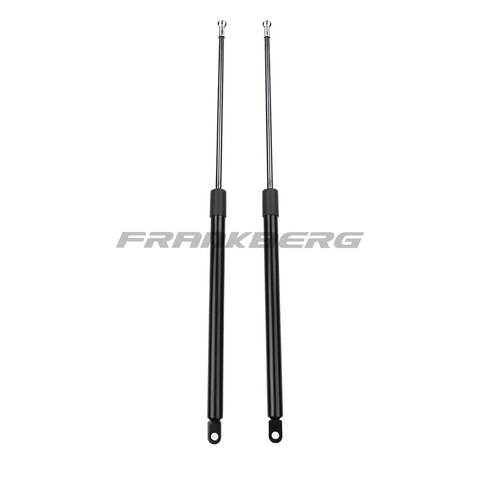 Gas Spring, boot/cargo area