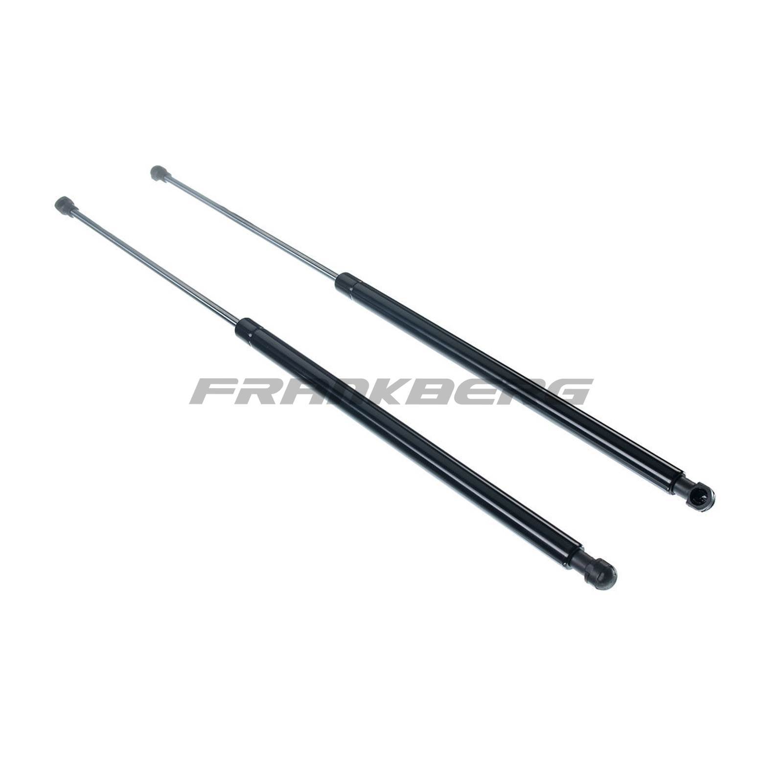Gas Spring, boot/cargo area